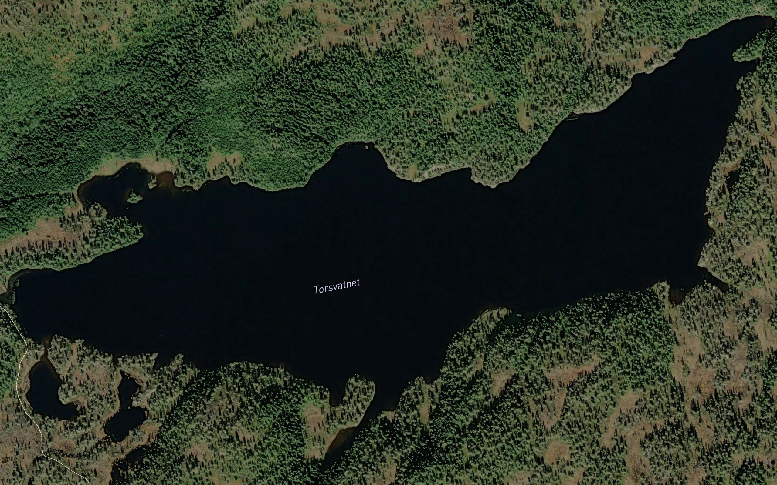 Torsvatnet