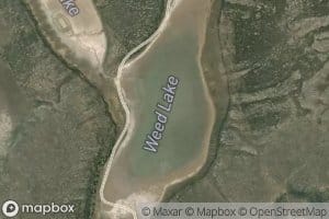 Weed Lake