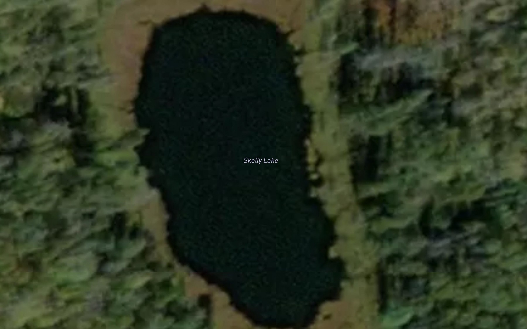 Satellite map of the Skelly Lake