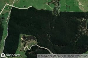 Tikiwhakairo Stream