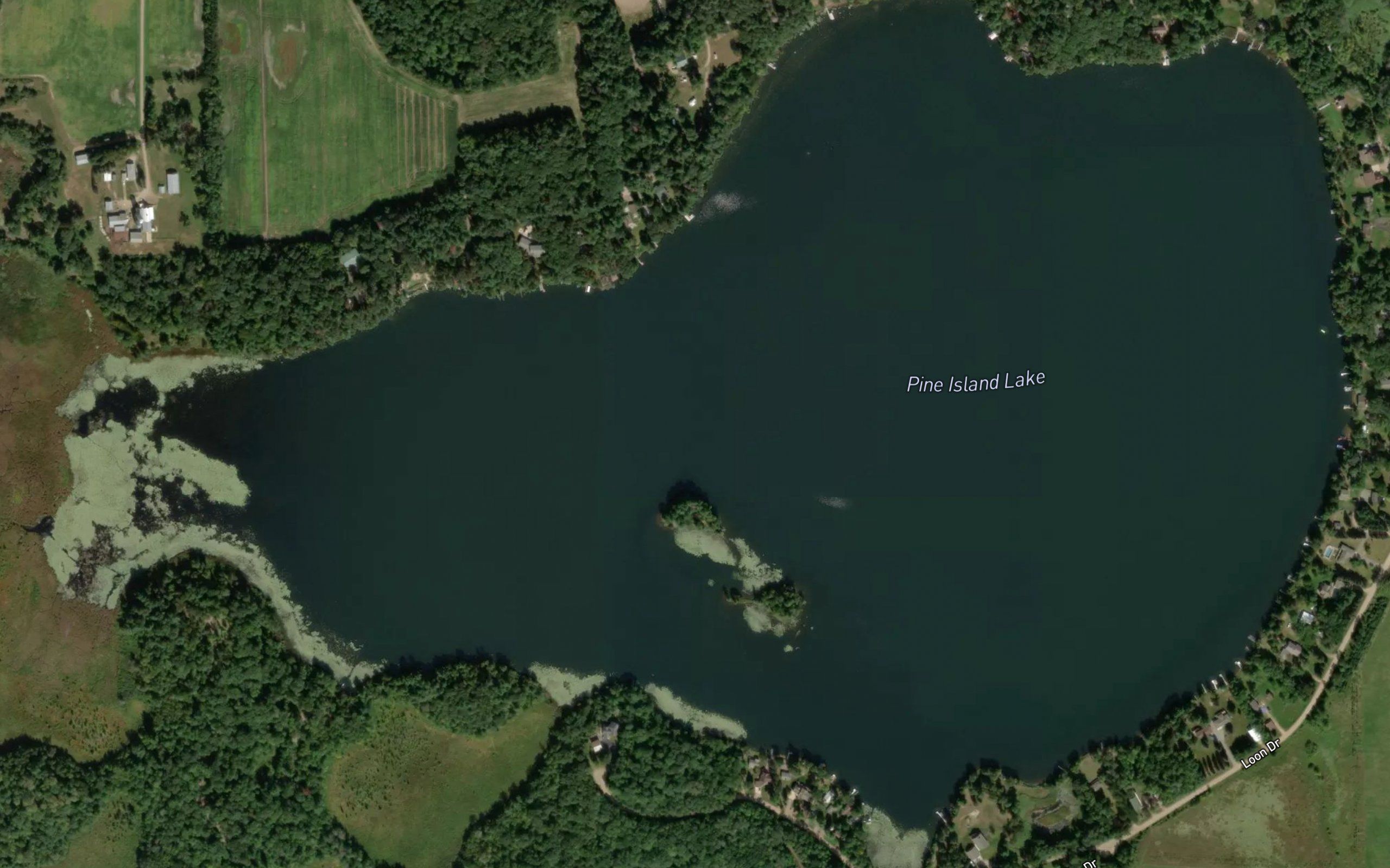 Pine Island Lake