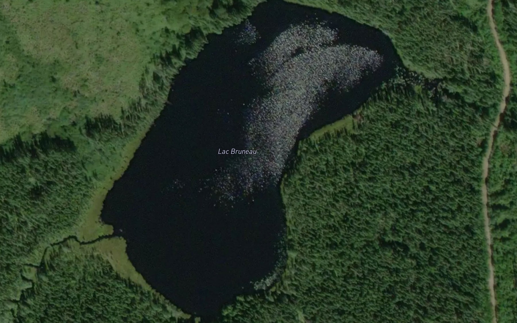Satellite map of the Lac Bruneau