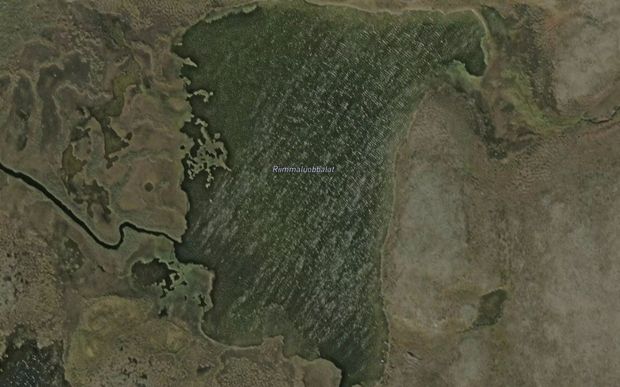 Riimaluobbalat