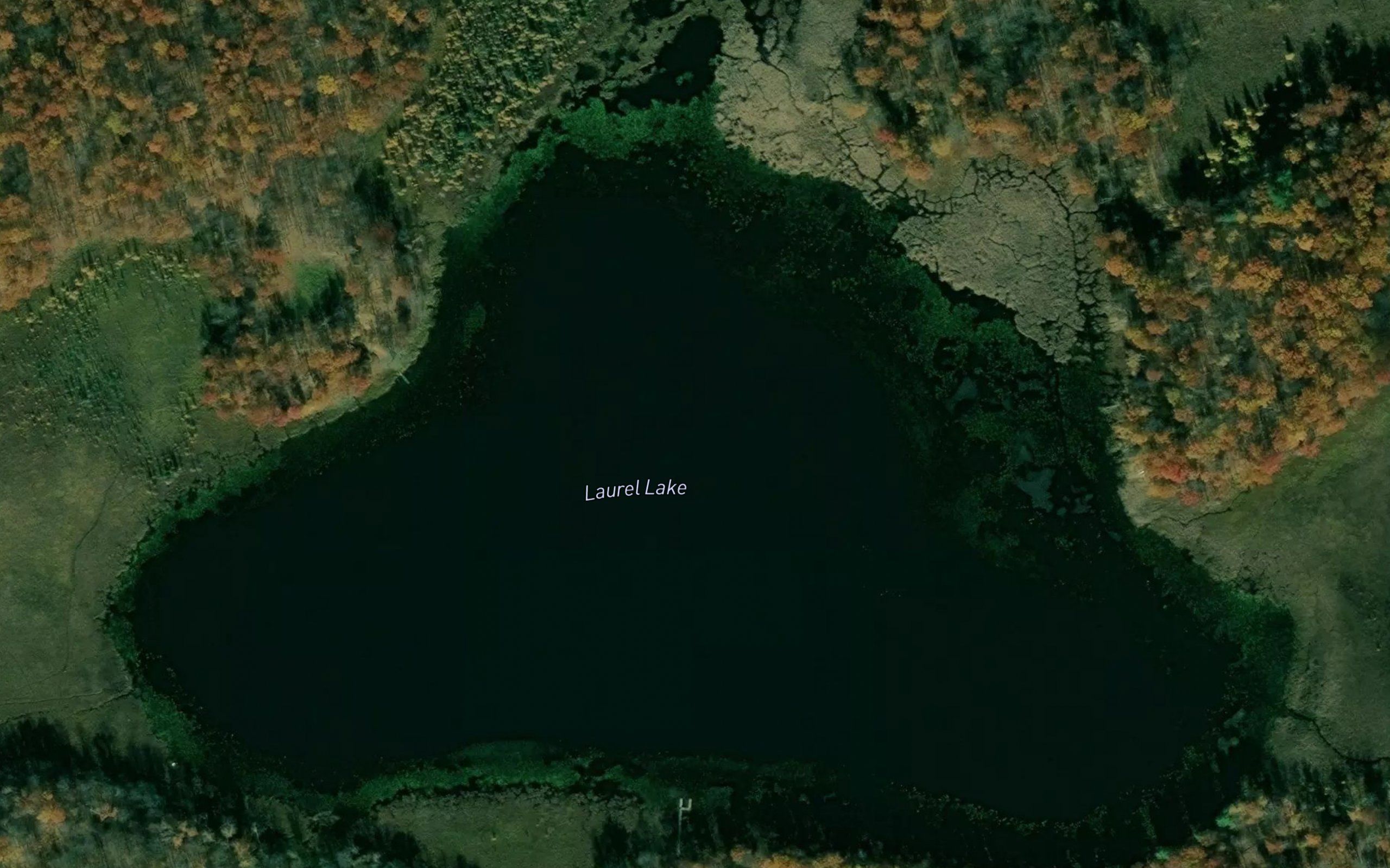 Laurel Lake