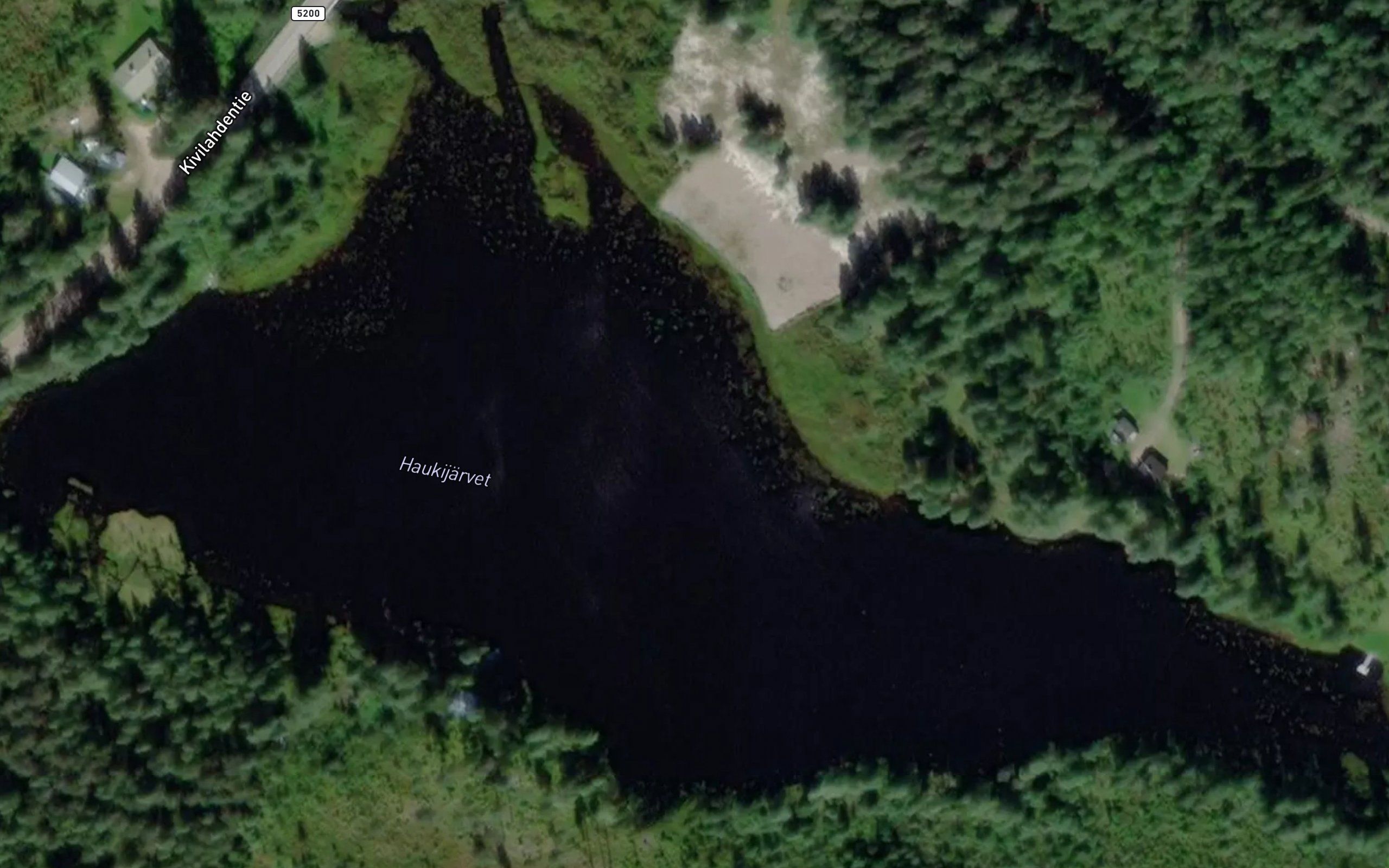 Haukijoki