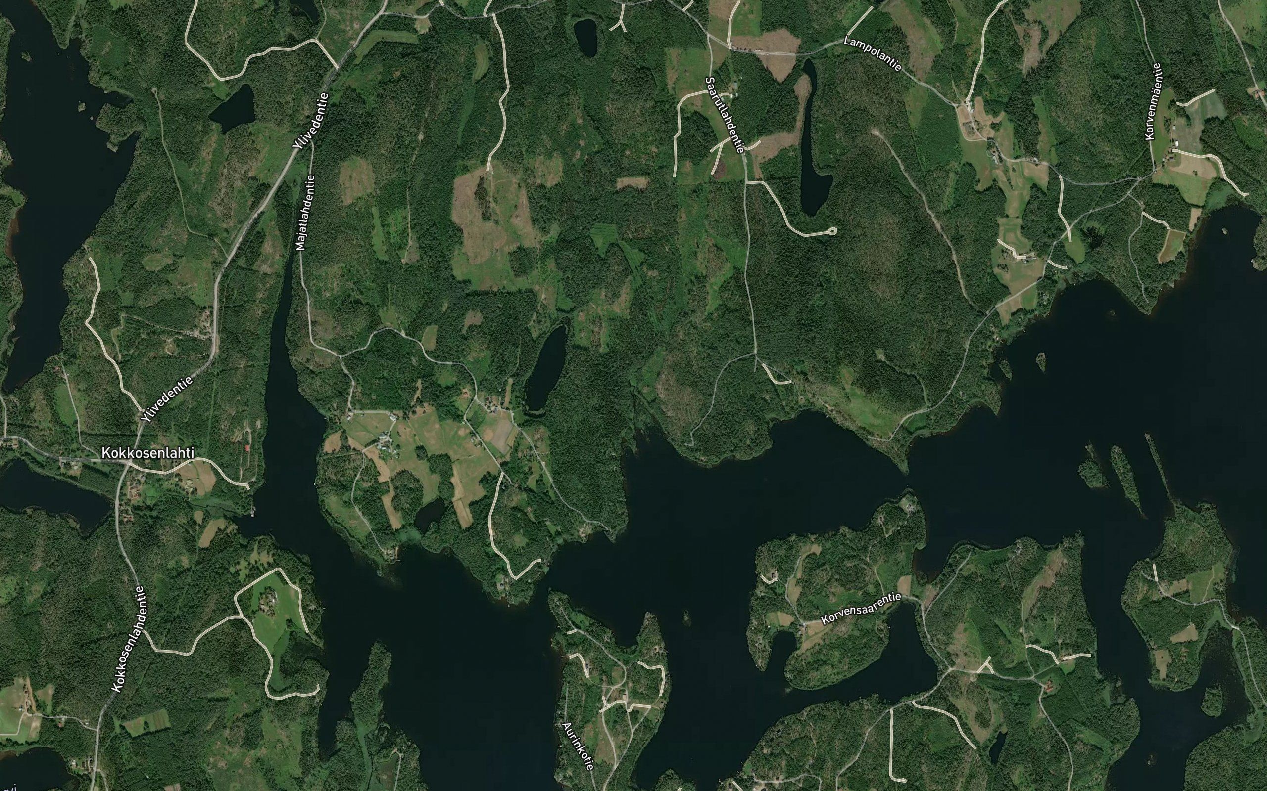 Haukilamminoja