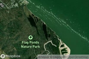 Flag Ponds
