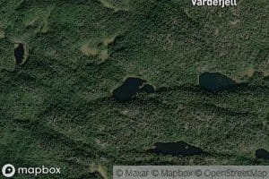 Utgravnetjerna