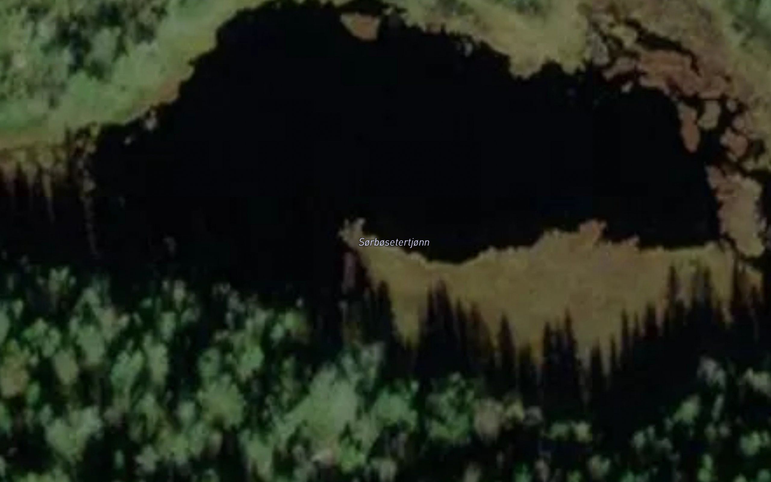 Sorbosetertjorn