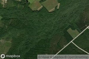 Little Penholoway Creek