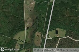 Cross Swamp