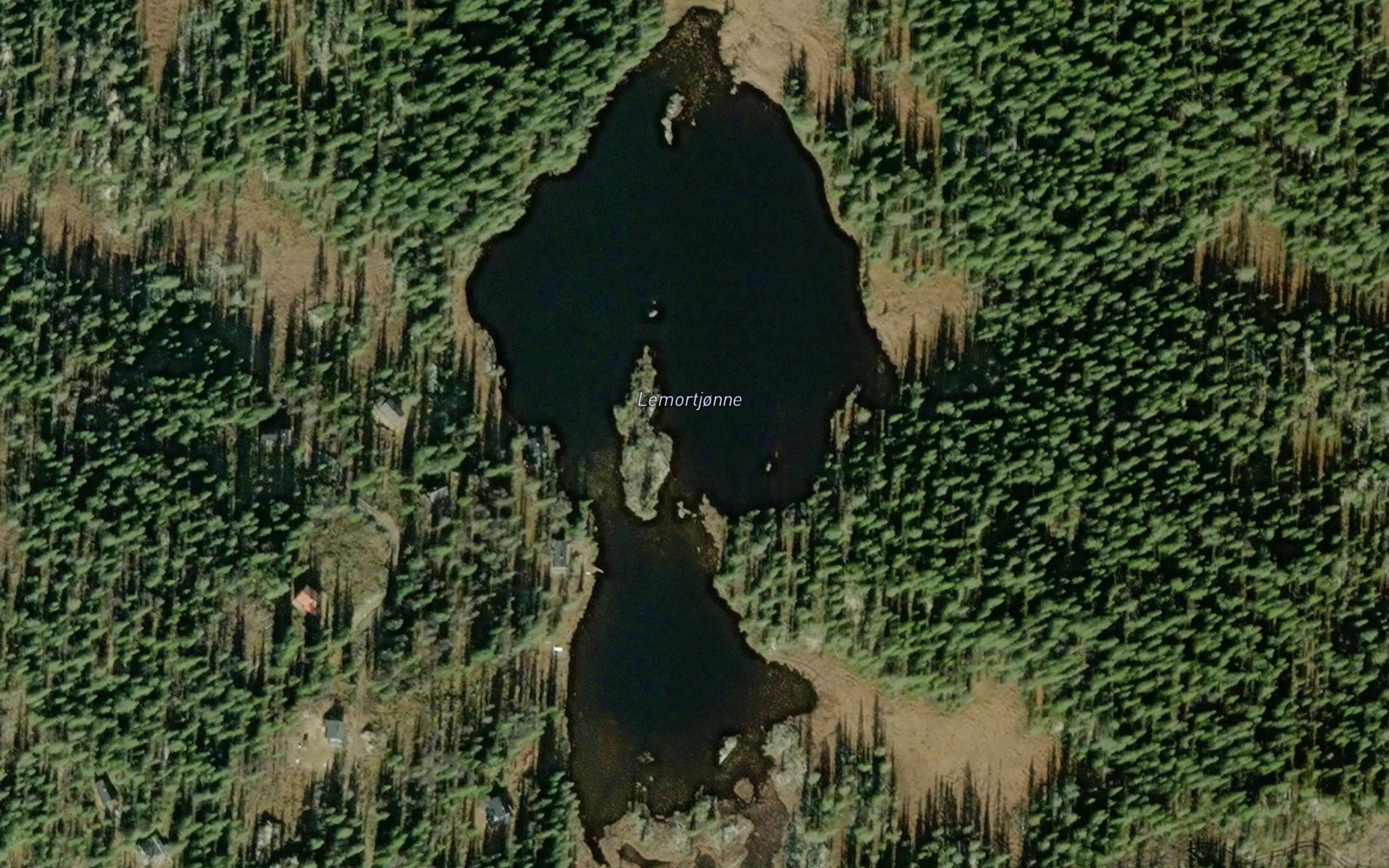 Lemortjornan