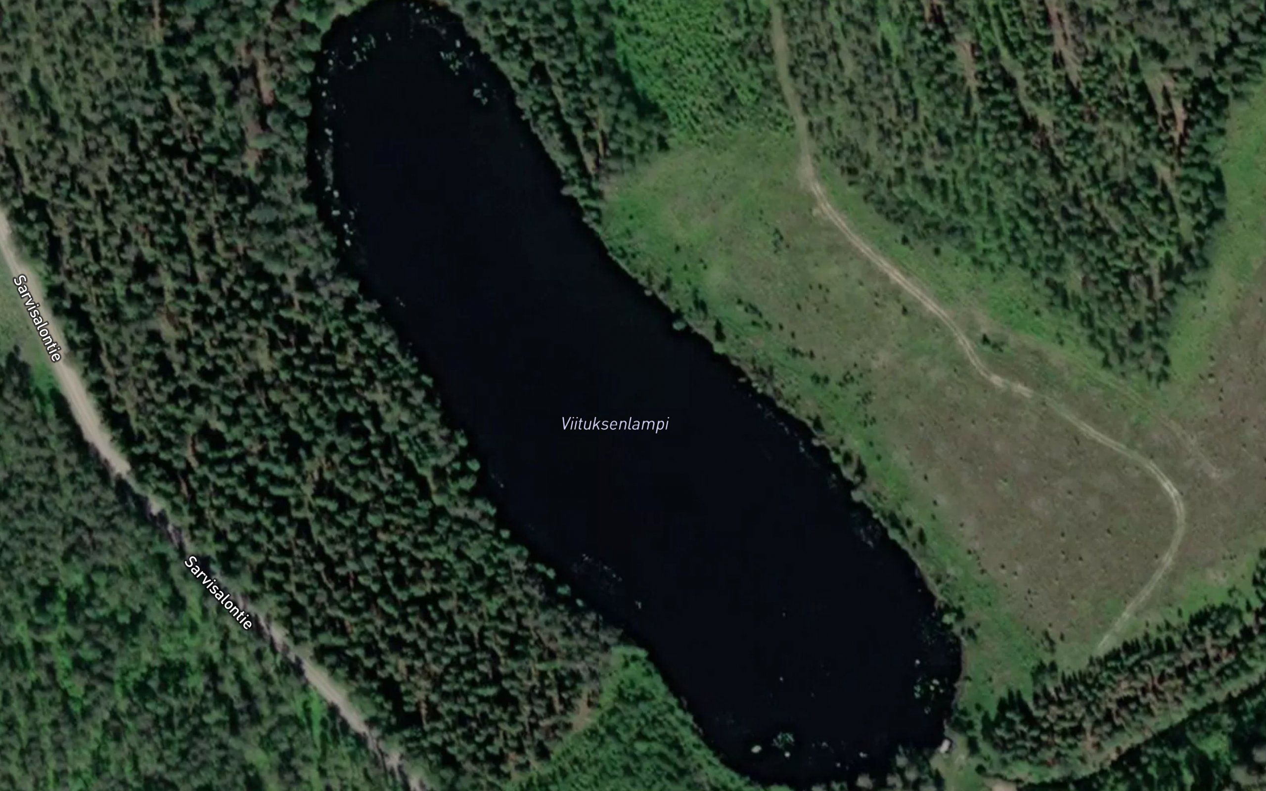 Viituksenlampi