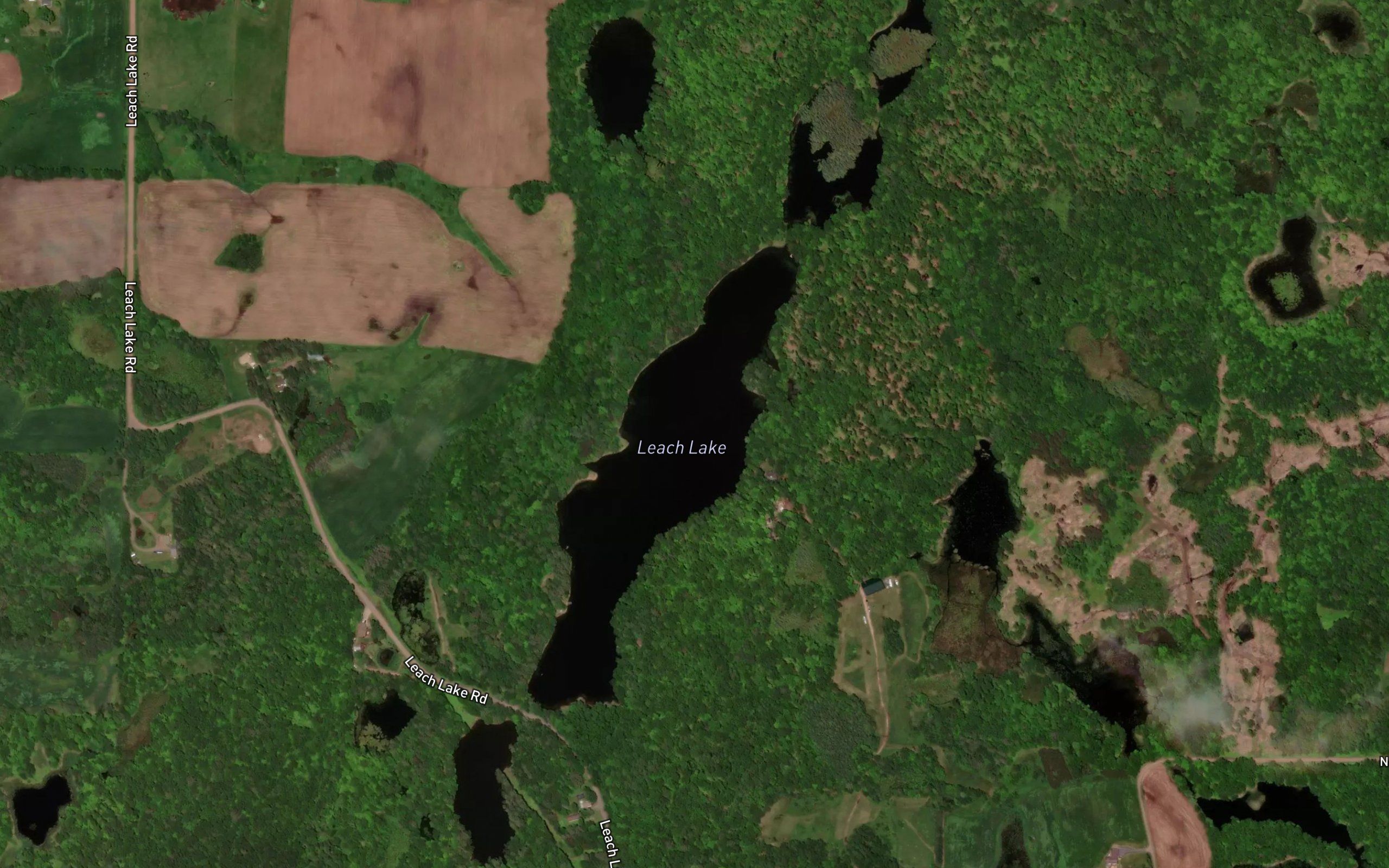 Leach Lake
