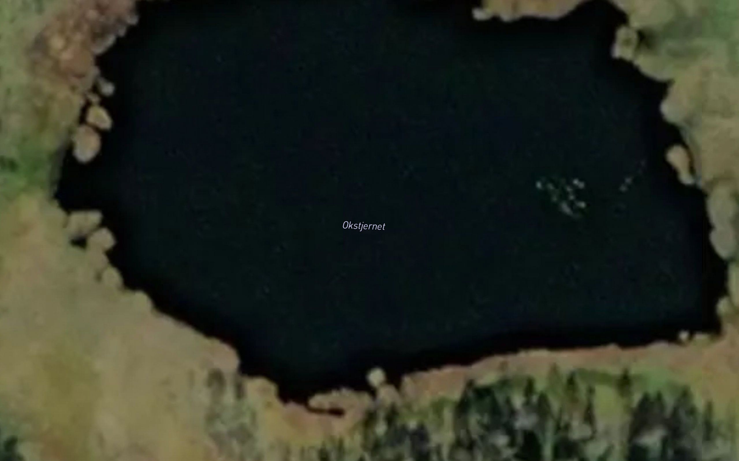 Okstjernet
