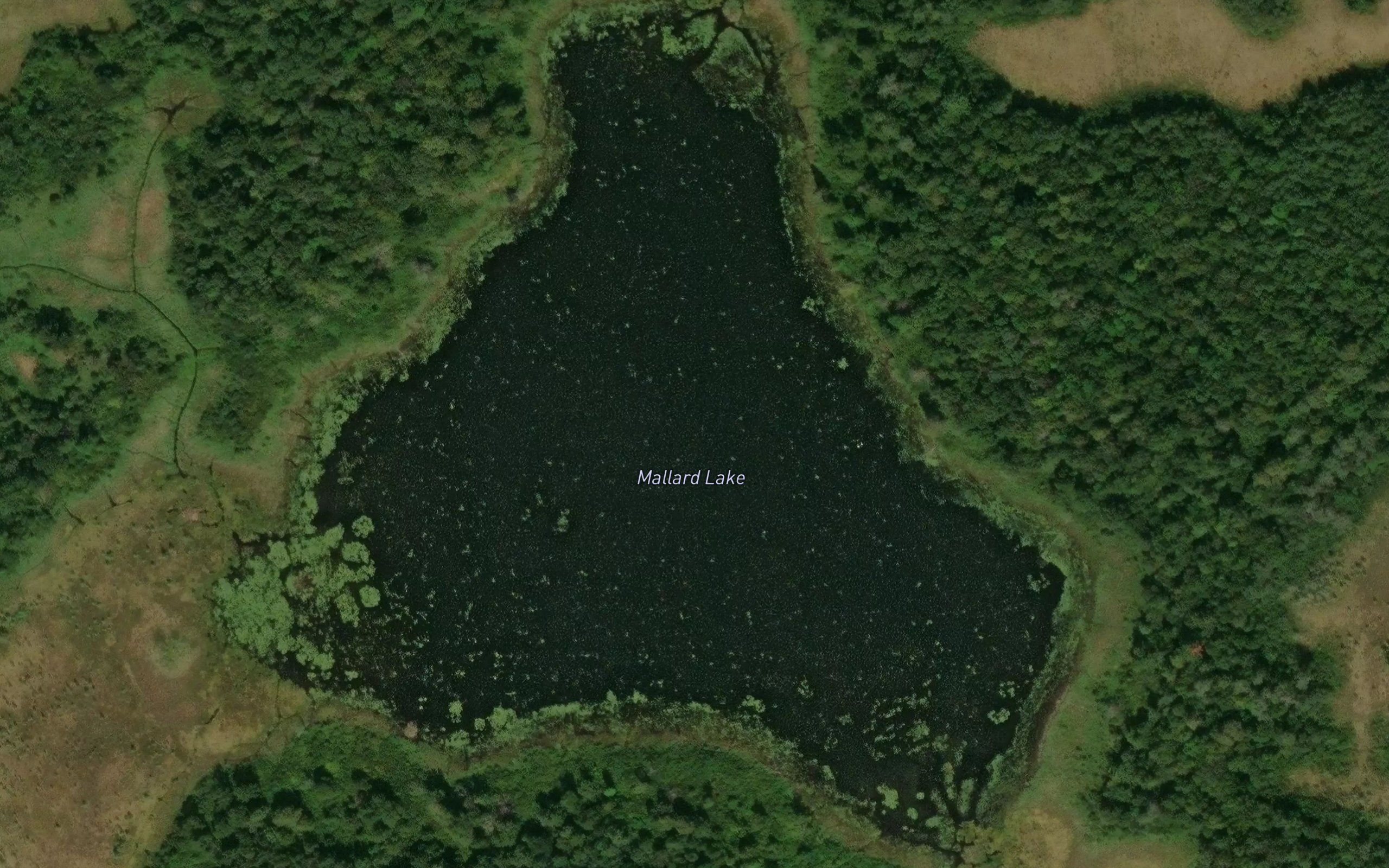 Mallard Lake
