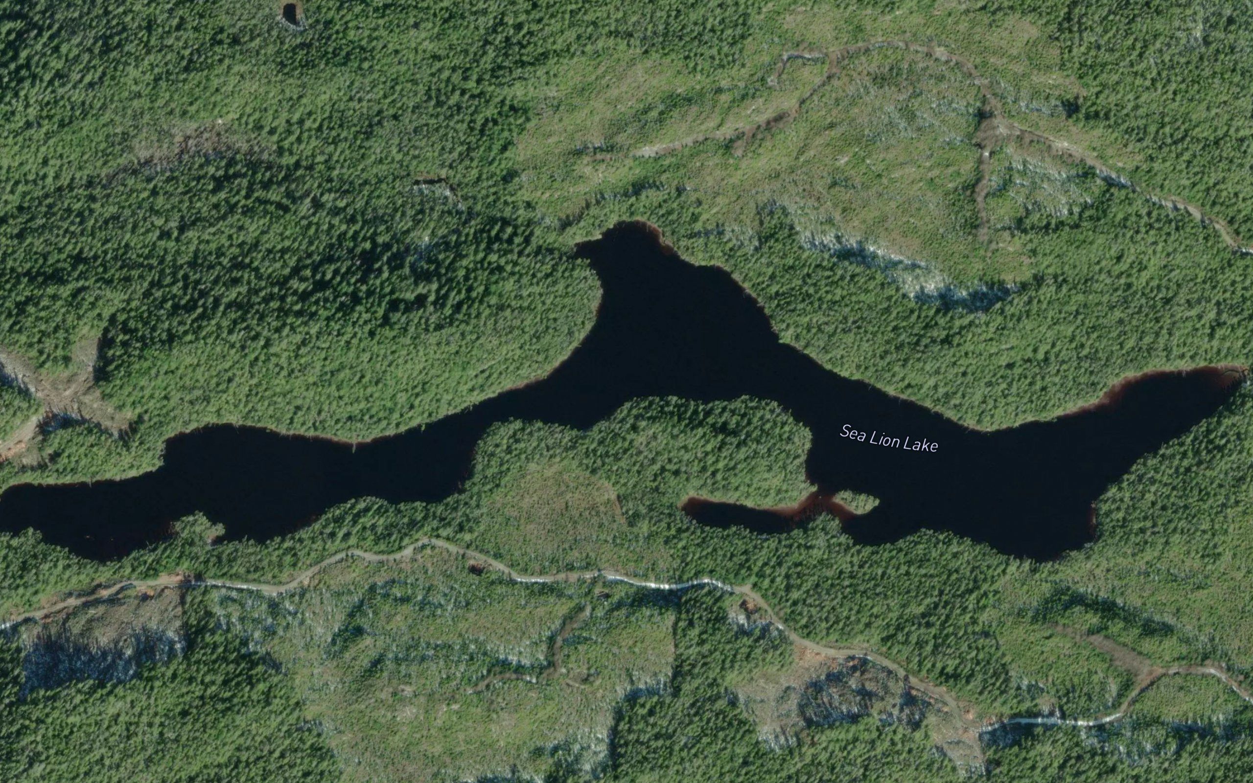Sea Lion Lake