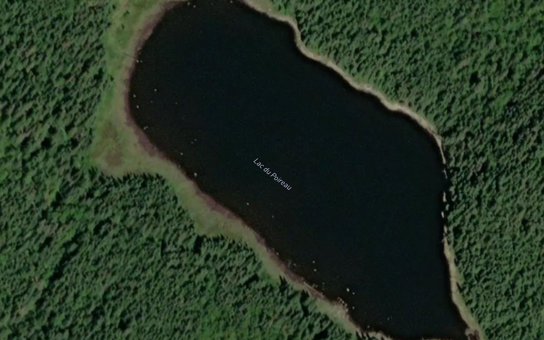 Satellite map of the Lac du Poireau