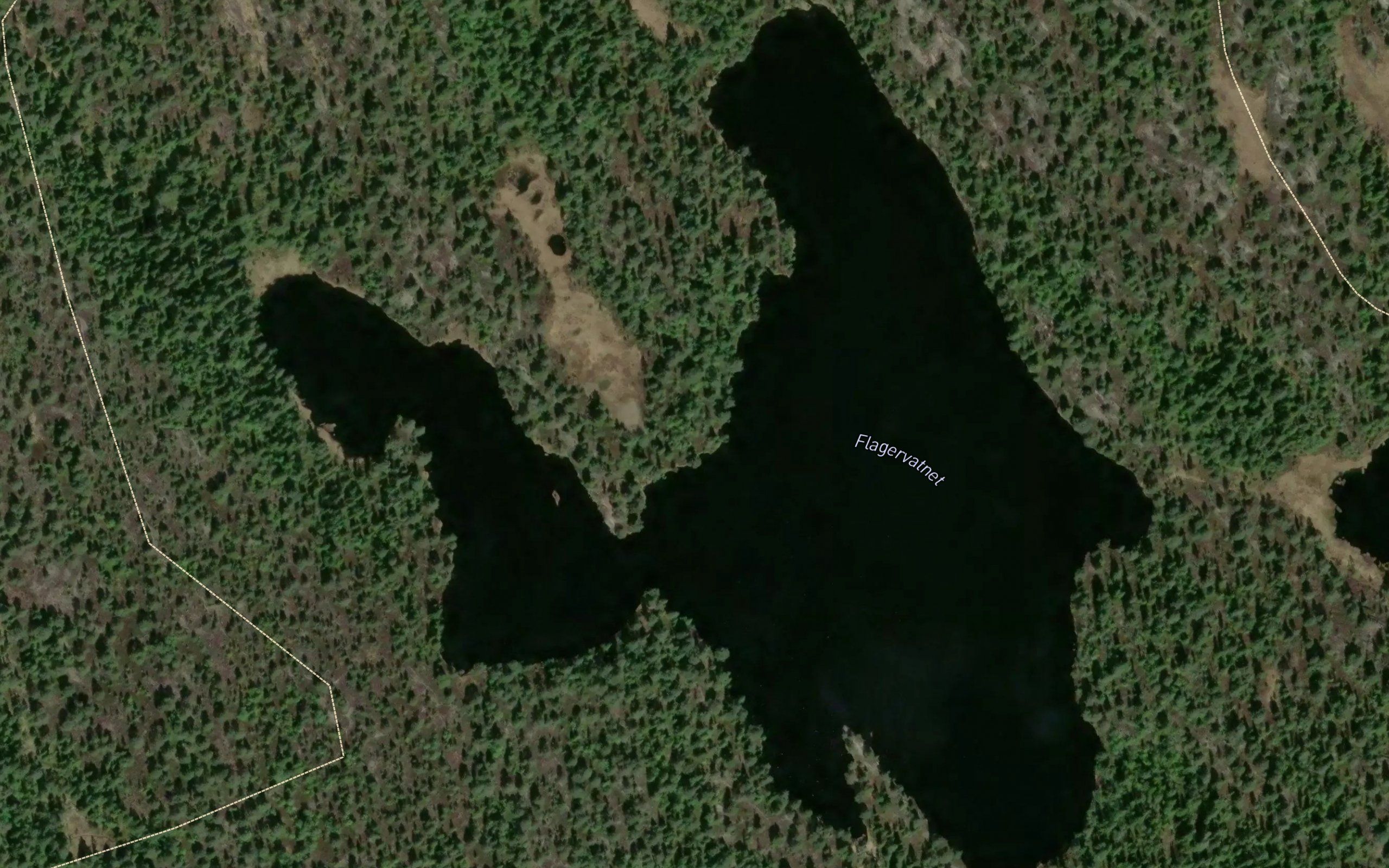 Flagvannet