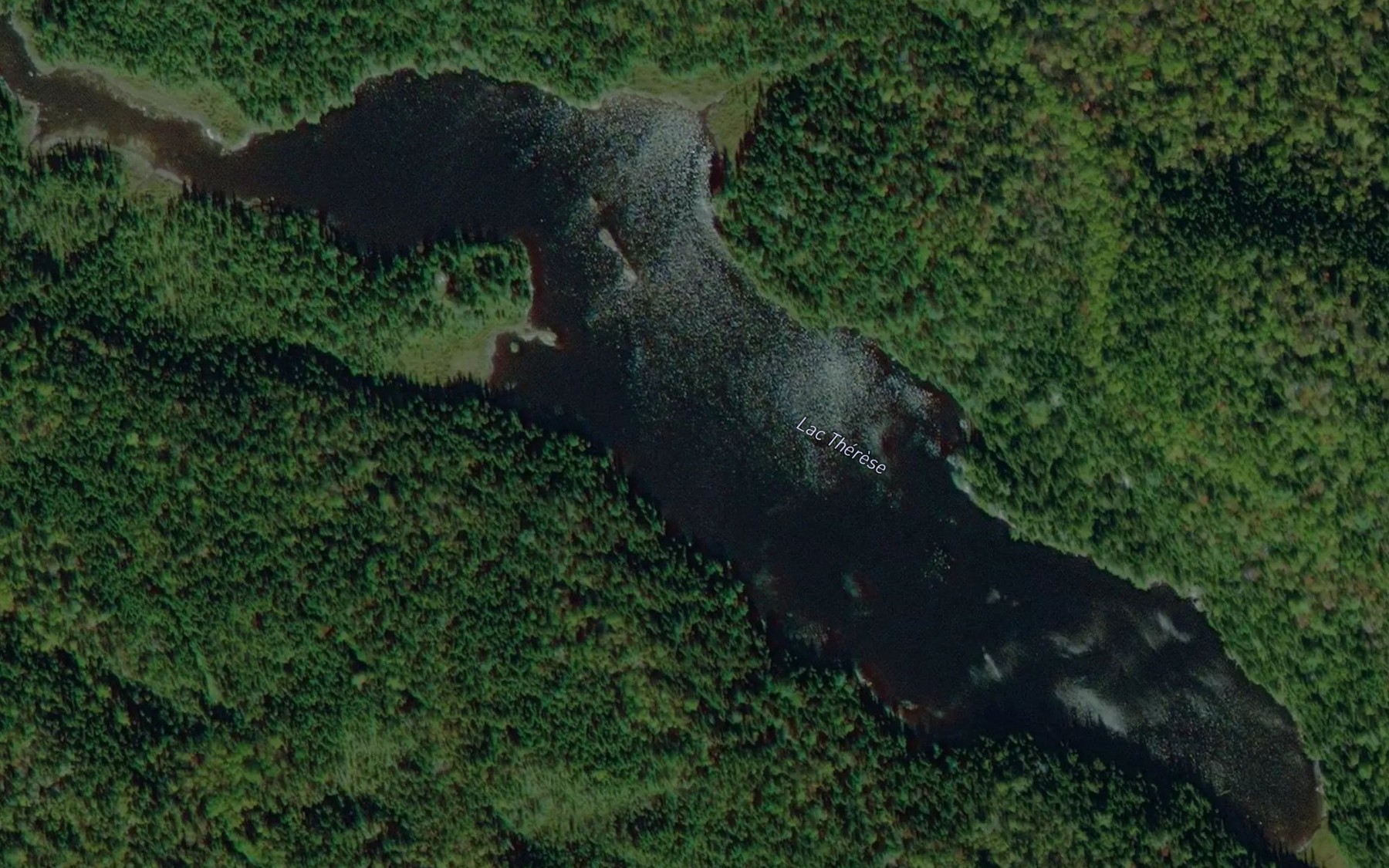 Satellite map of the Lac Therese