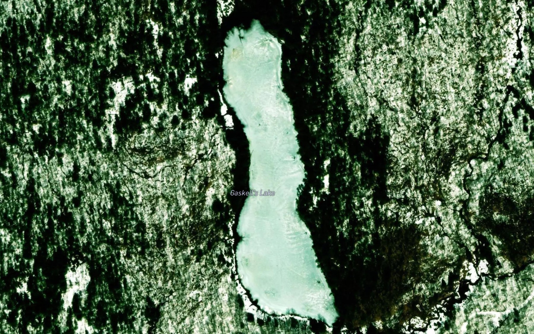 Satellite map of the Gaskell's Lake