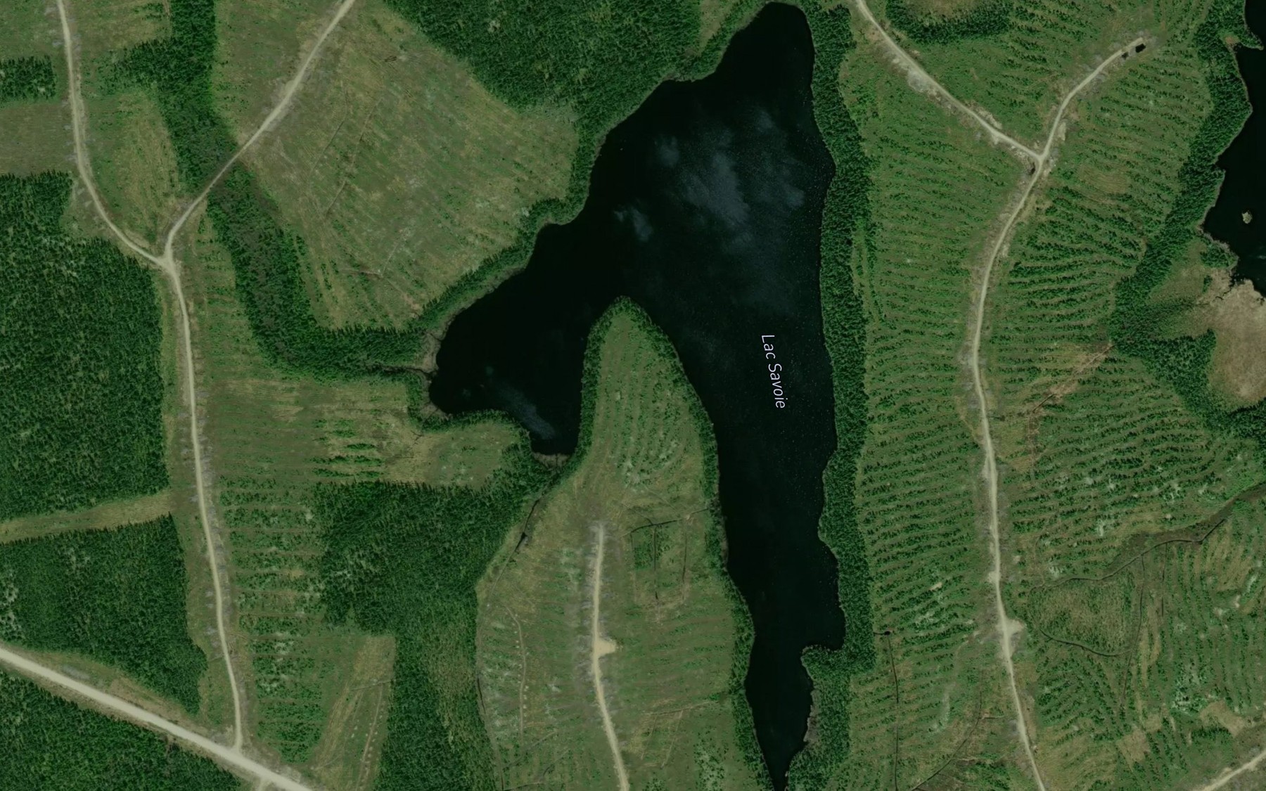 Satellite map of the Lac Savoie
