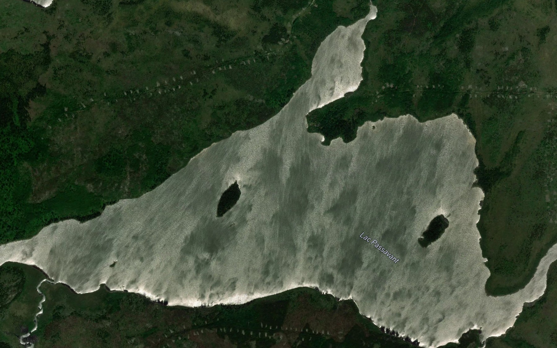 Satellite map of the Lac Passavant