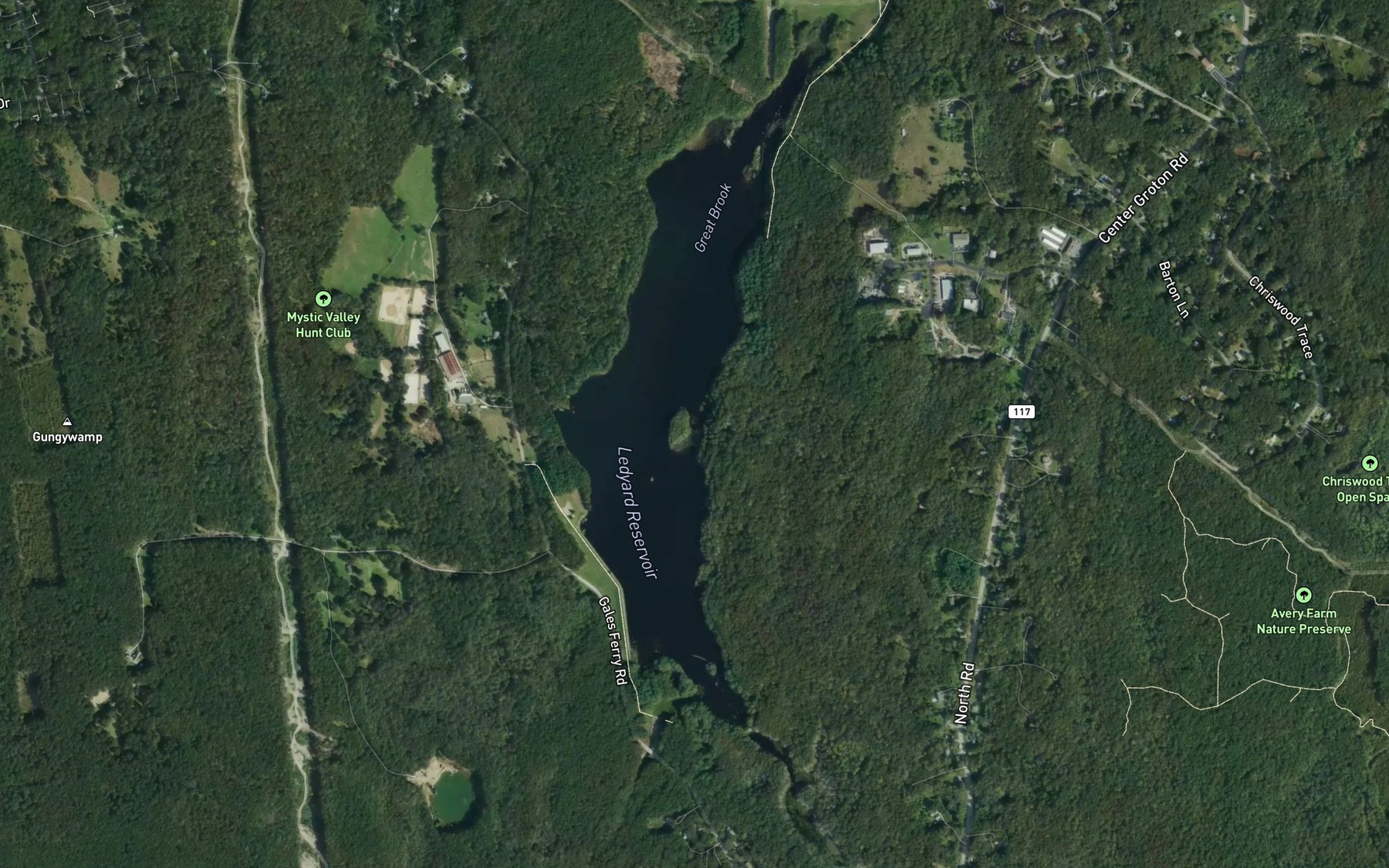 Satellite map of the Ledyard Reservoir