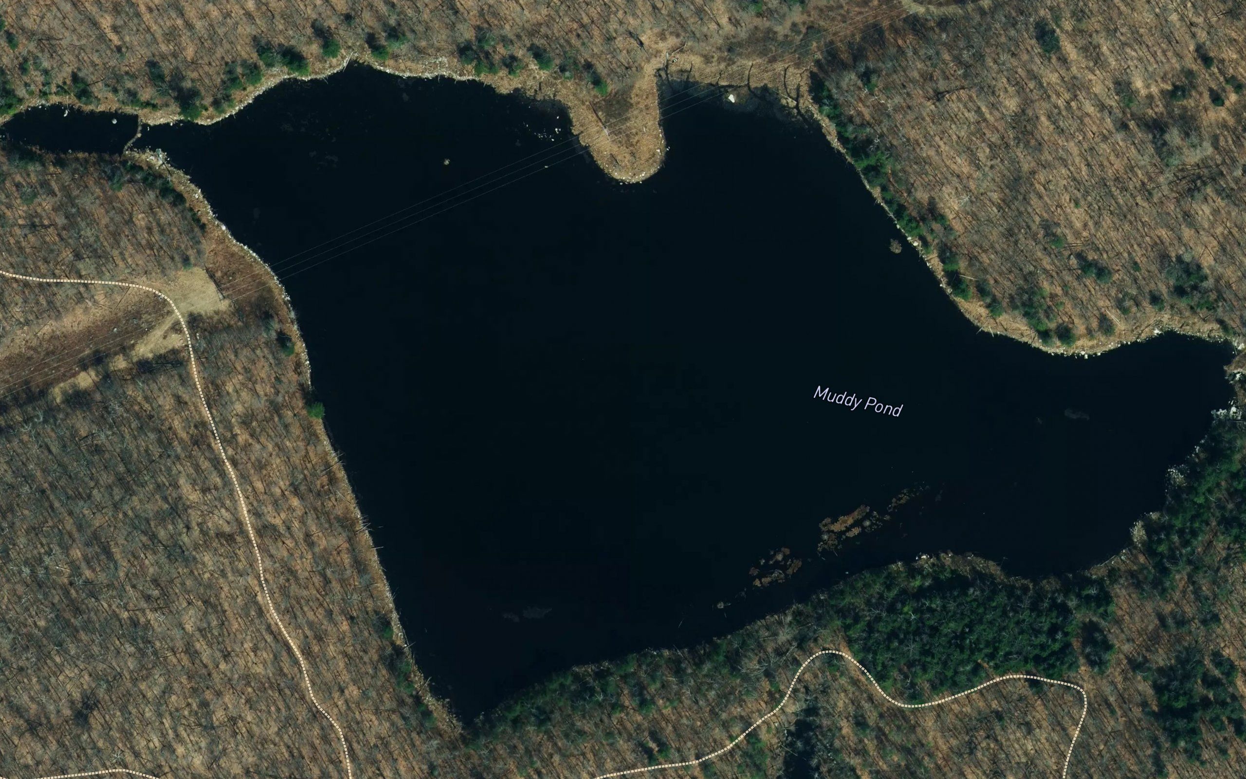 Muddy Pond