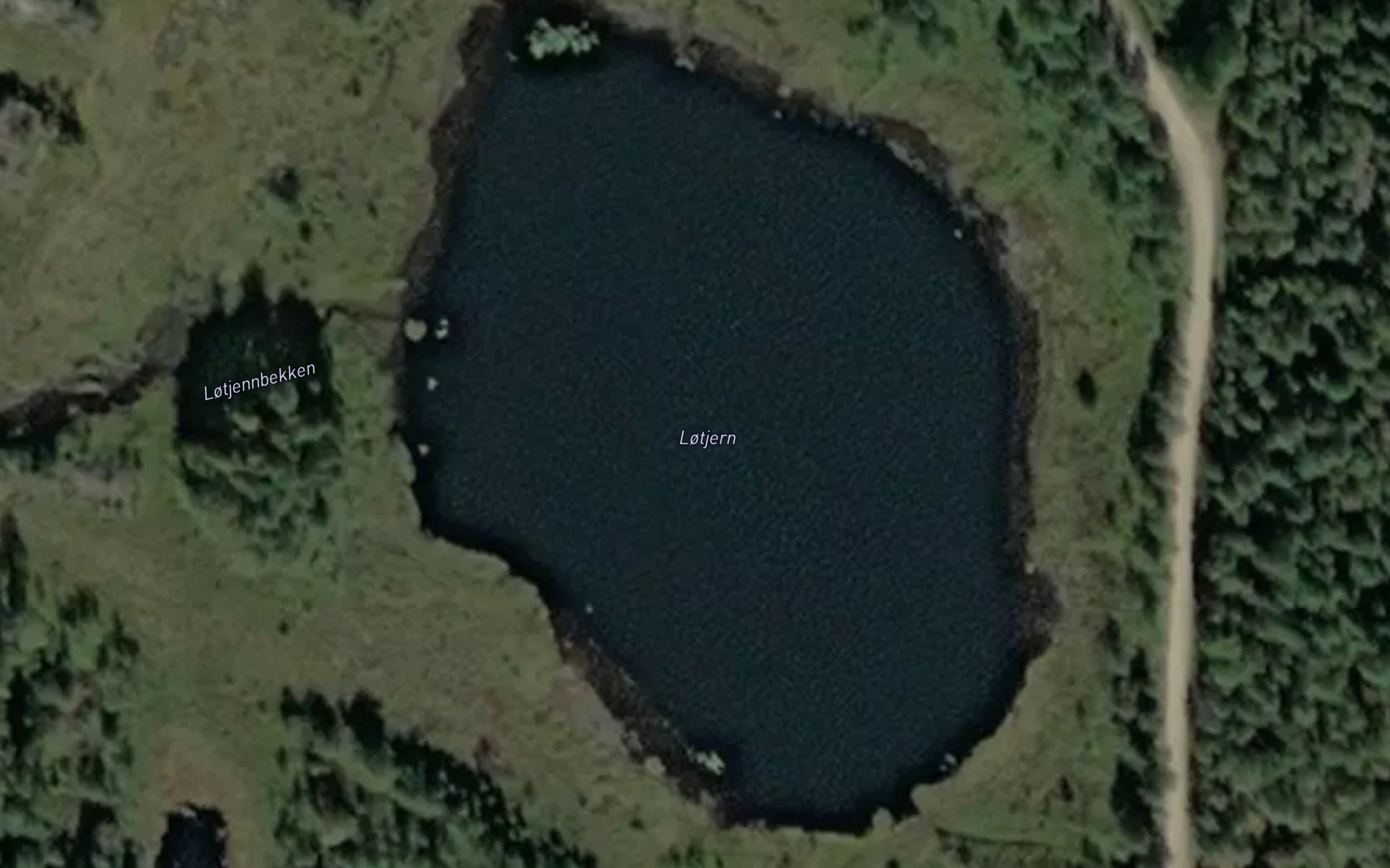Lotjern