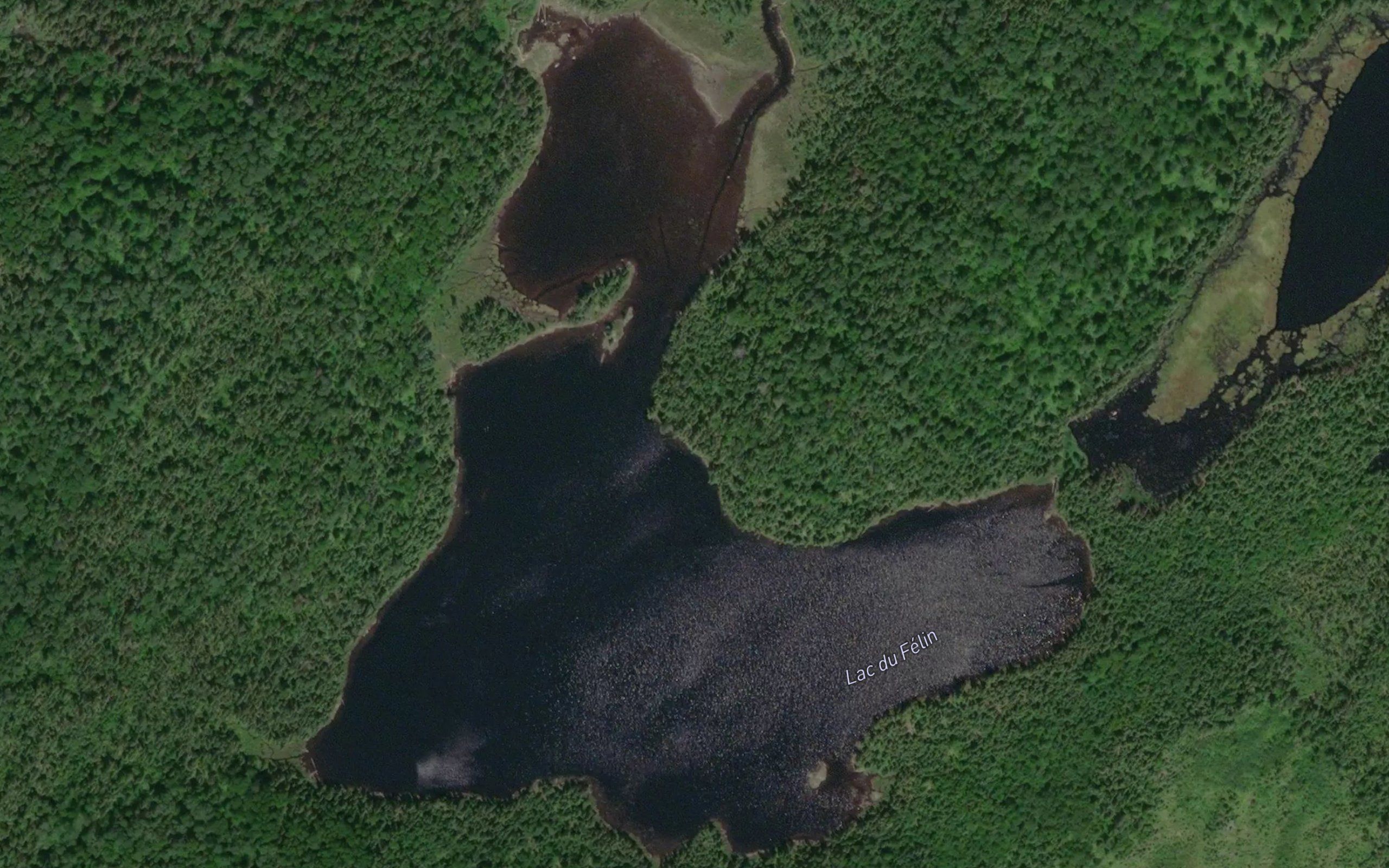 Lac du Felin