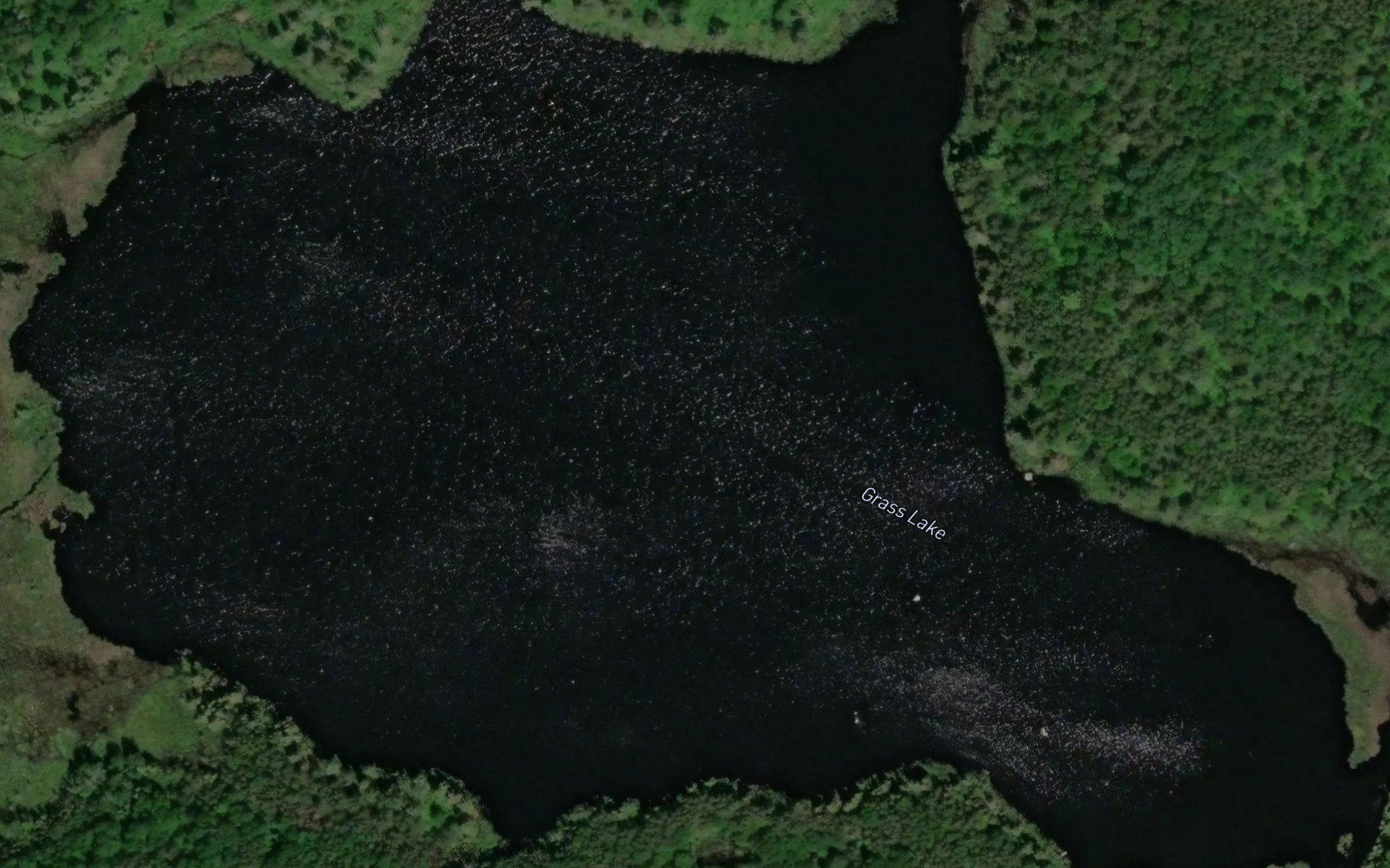 Grass Lake