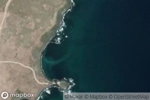 Walrus Bight