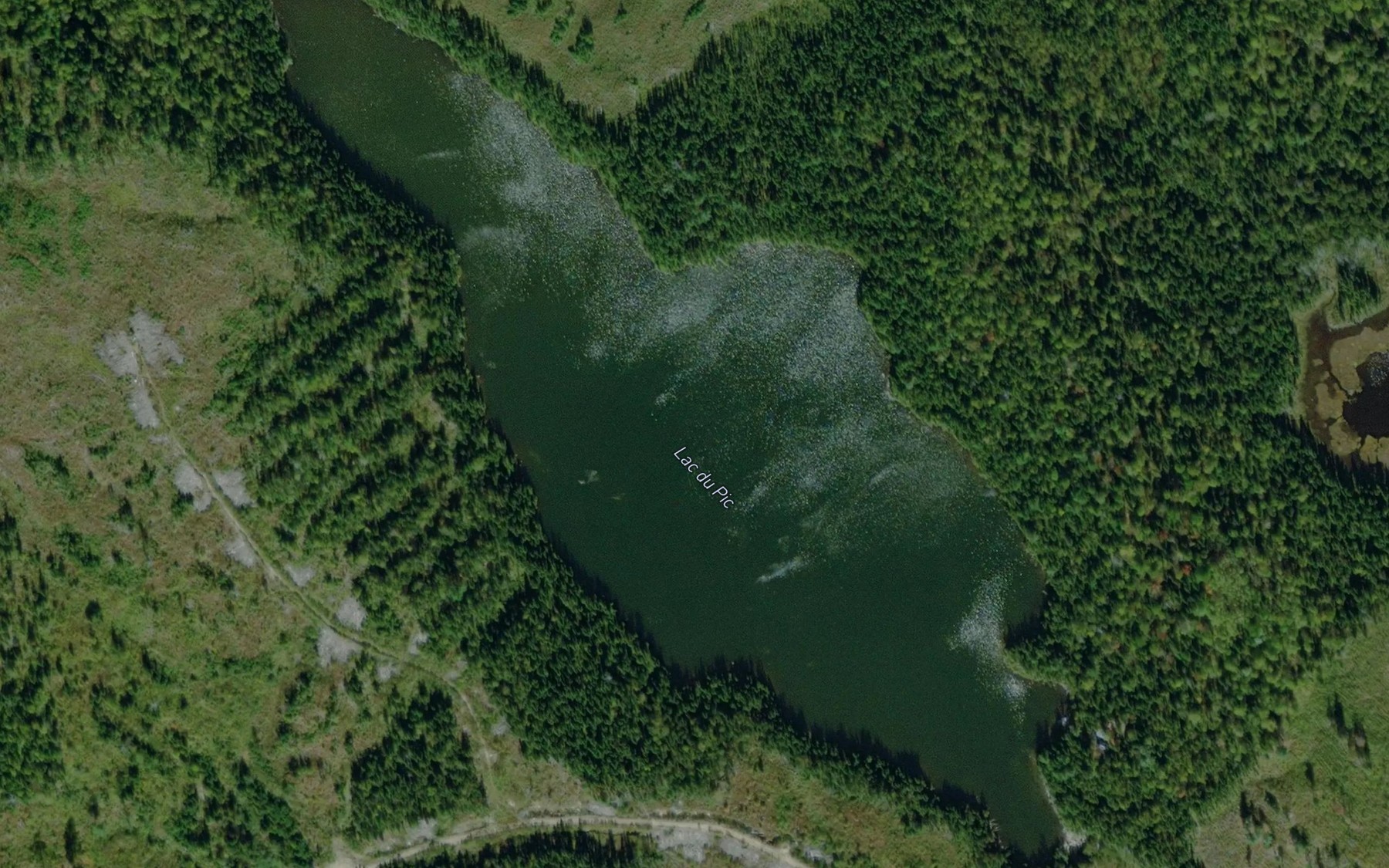 Satellite map of the Lac du Pic