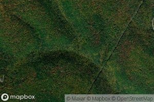 Left Fork Green Branch