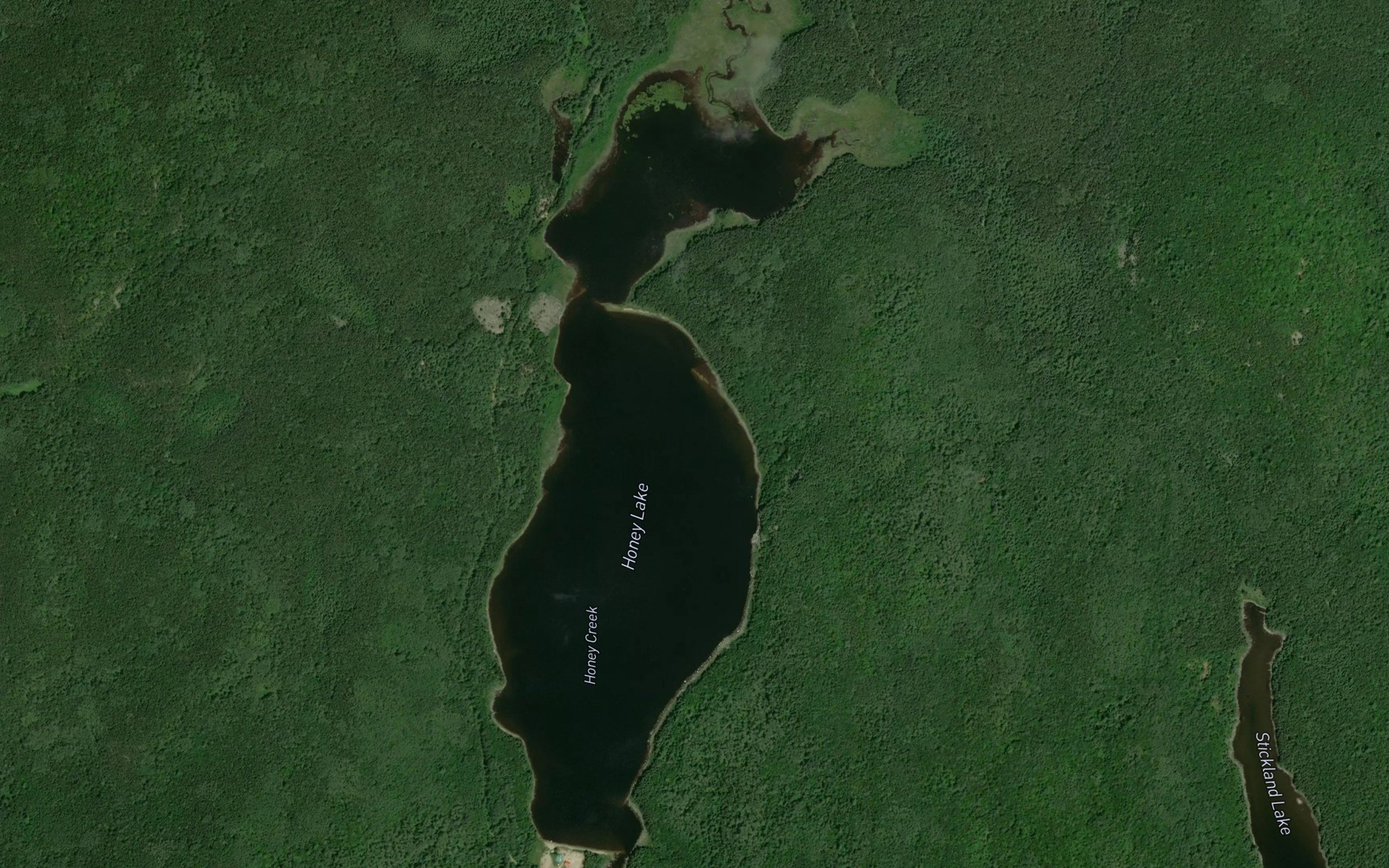 Satellite map of the Honey Lake