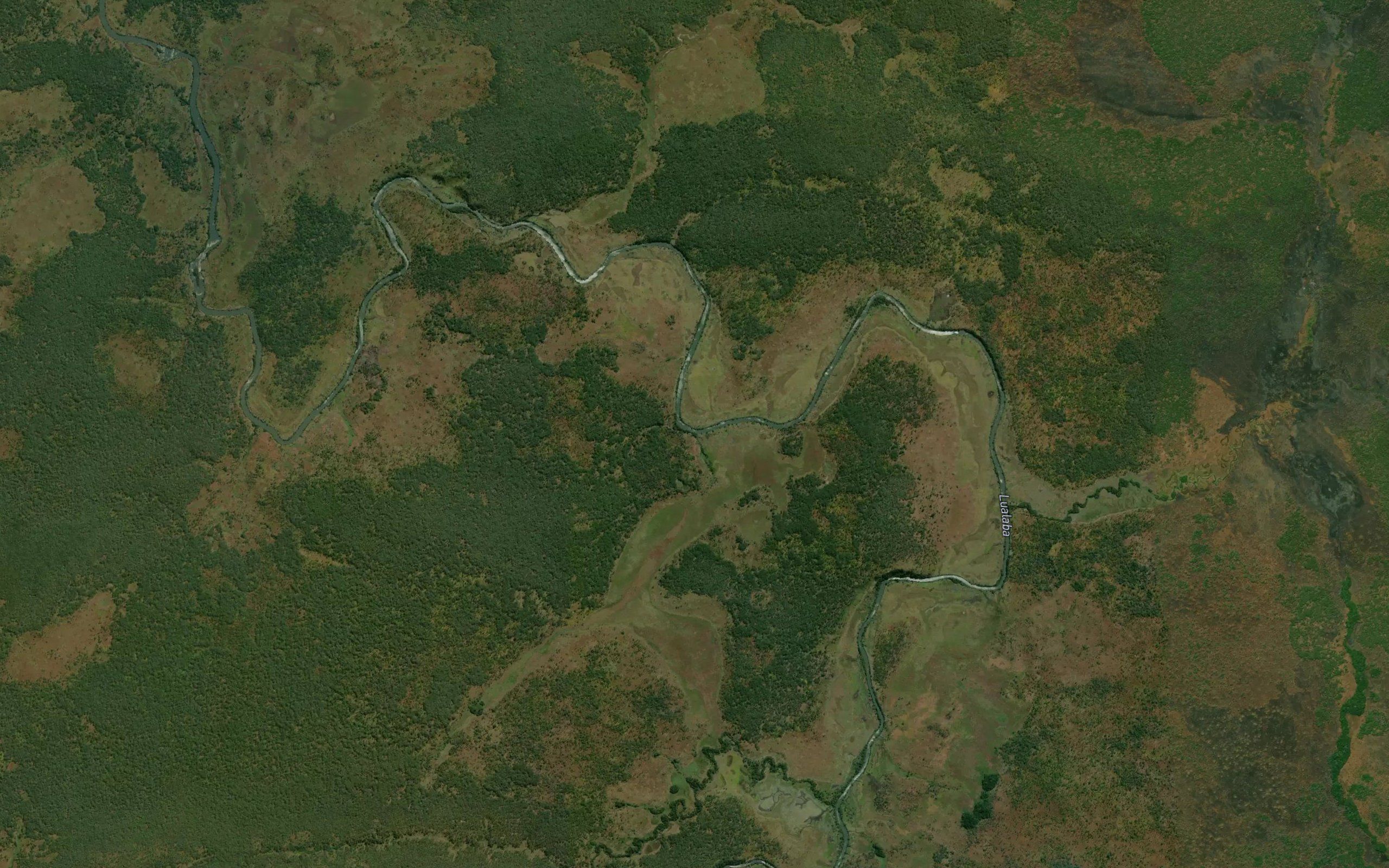 Niambara