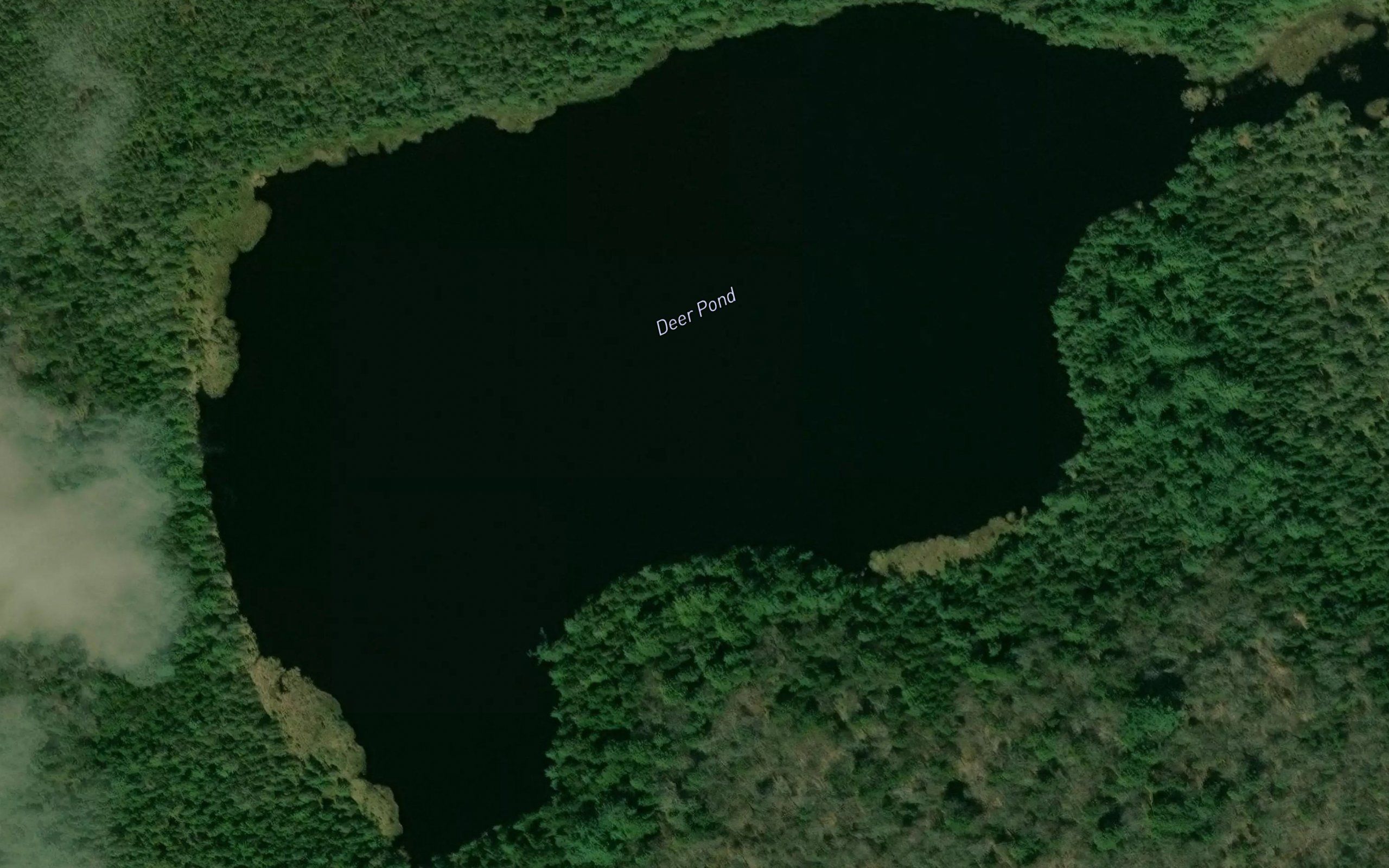 Deer Pond