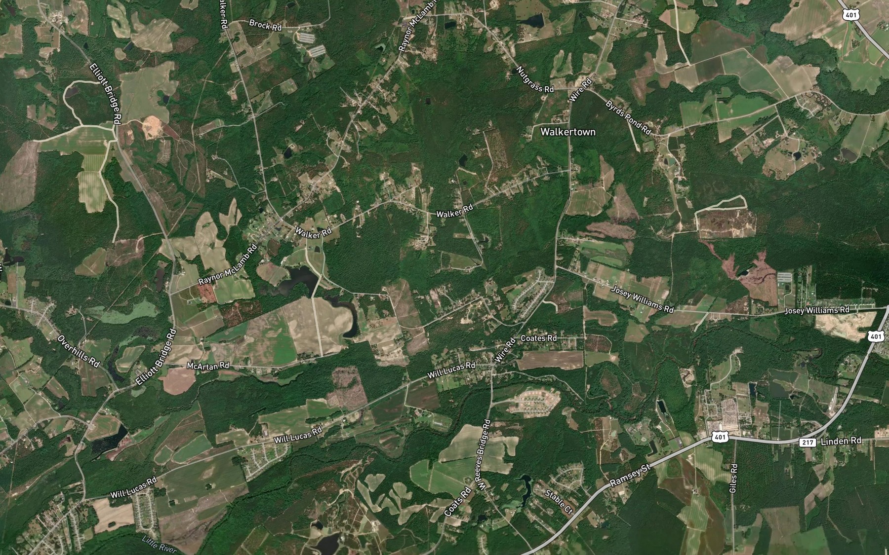 Satellite map of the Gum Swamp