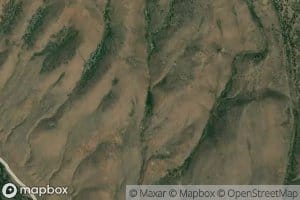 Coyote Spring