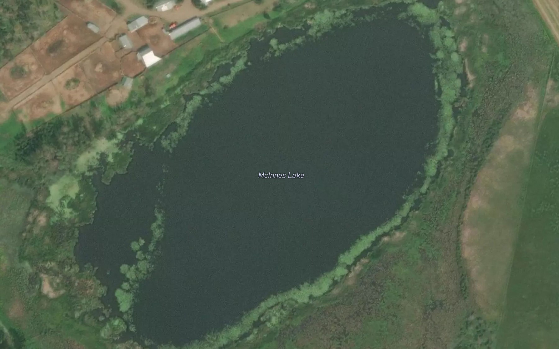 Satellite map of the McInnes Lake