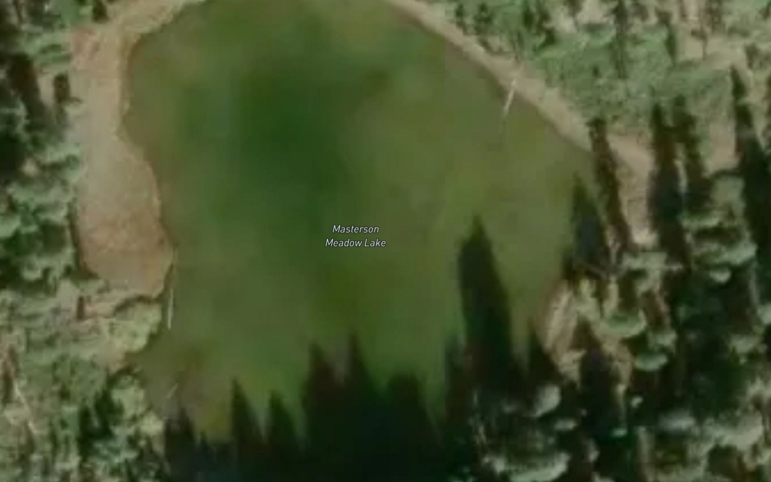Masterson Meadow Lake