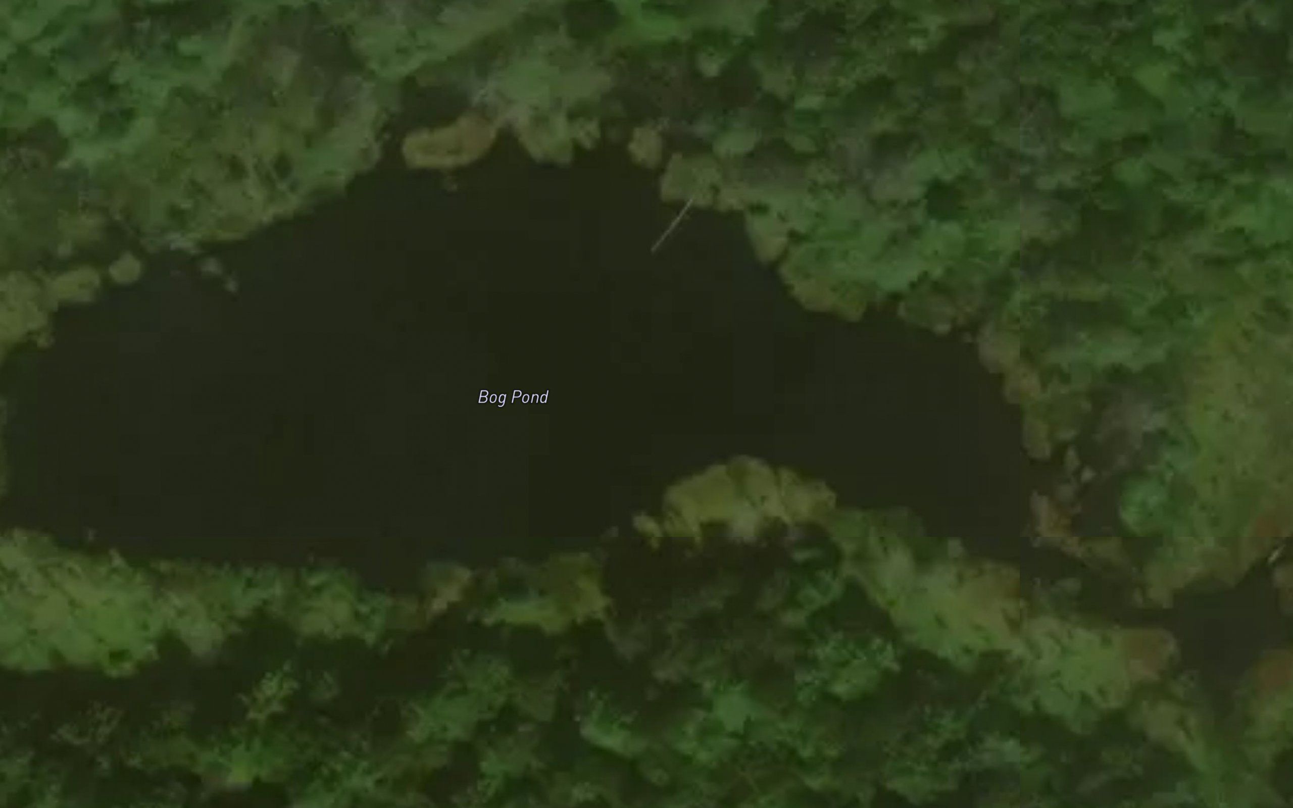 Bog Pond