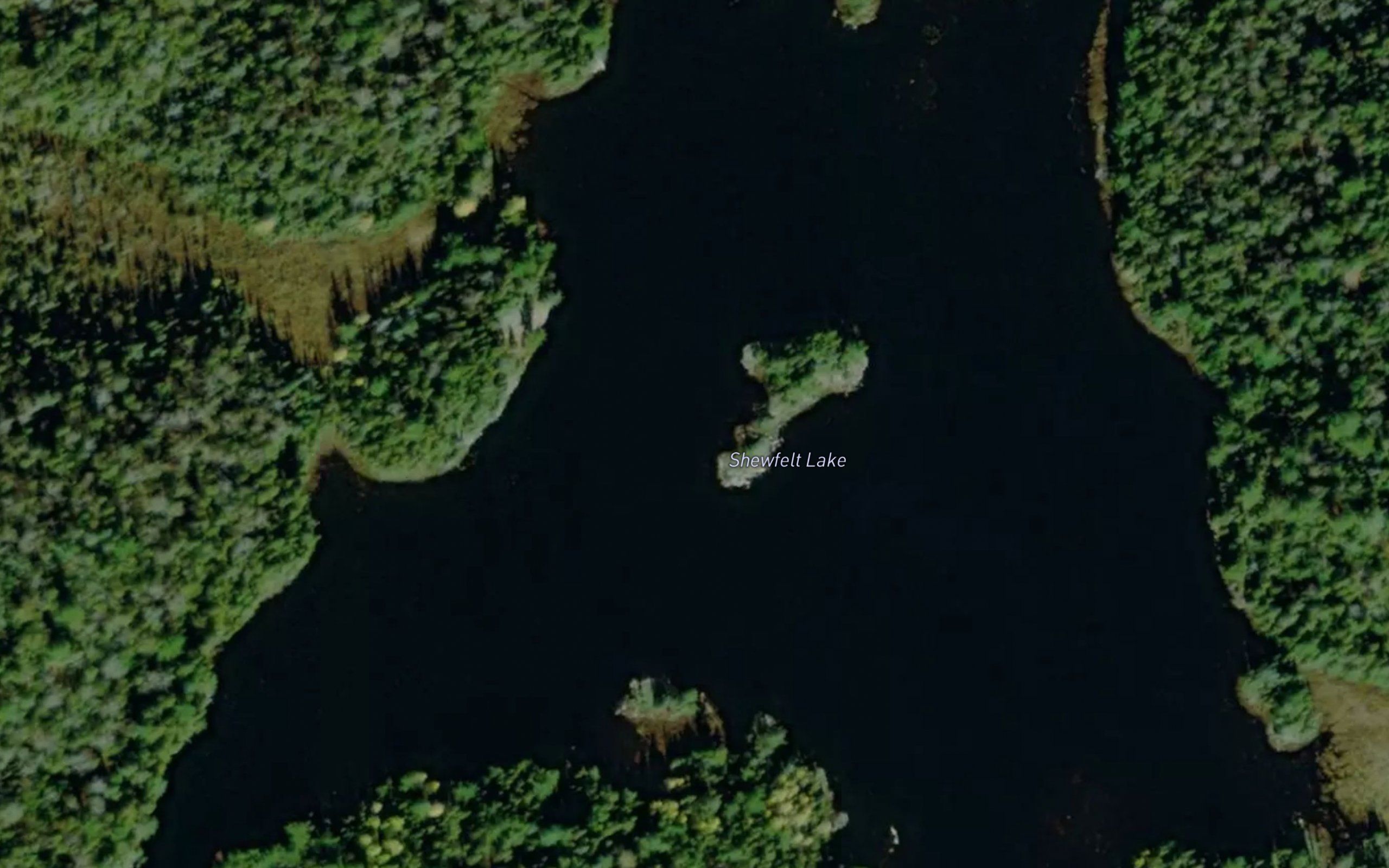 Shewfelt Lake