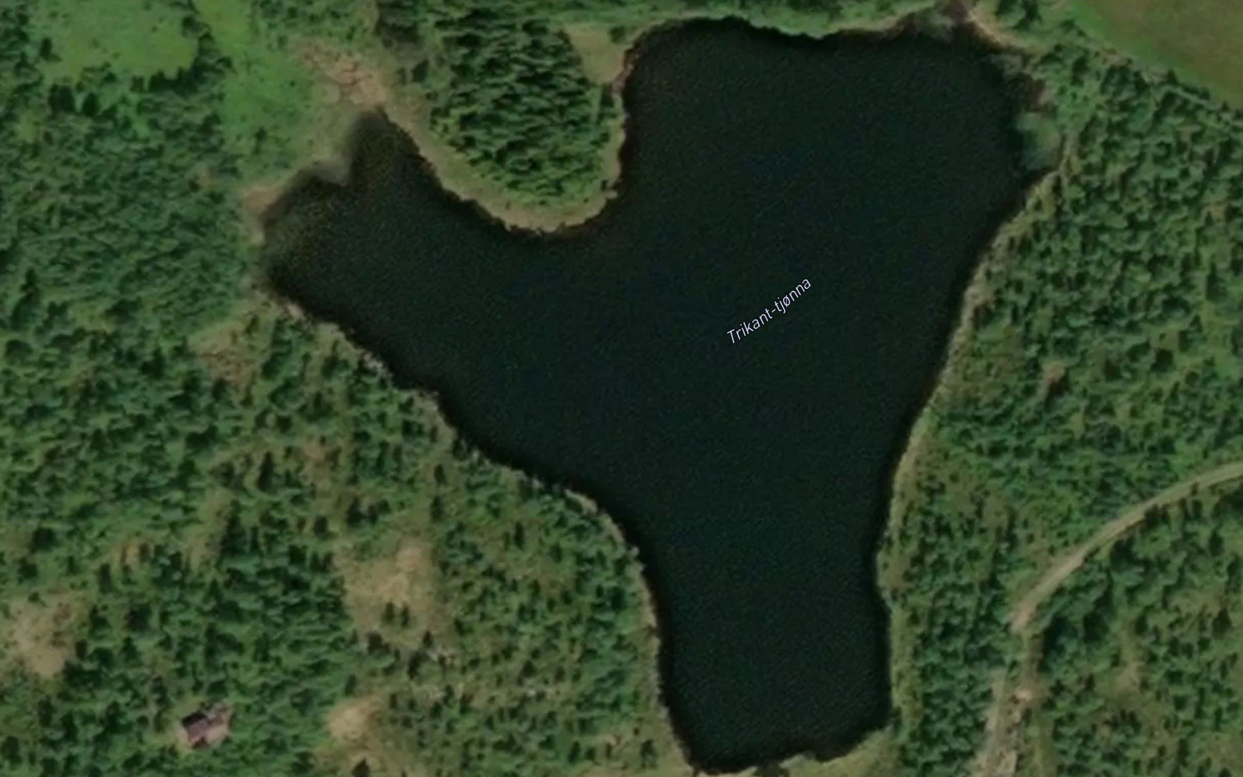 Trekanttjorna