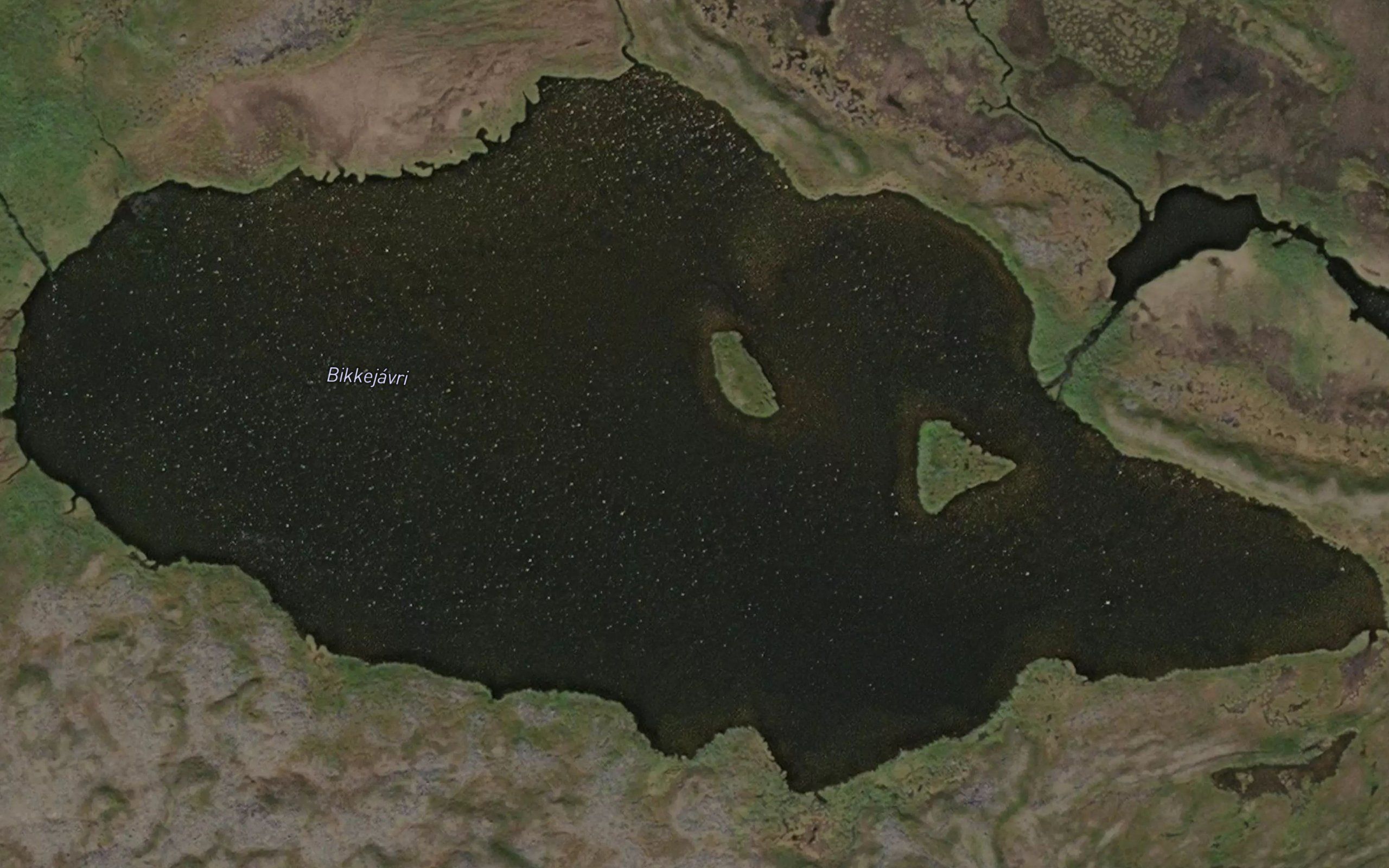 Biggejavri