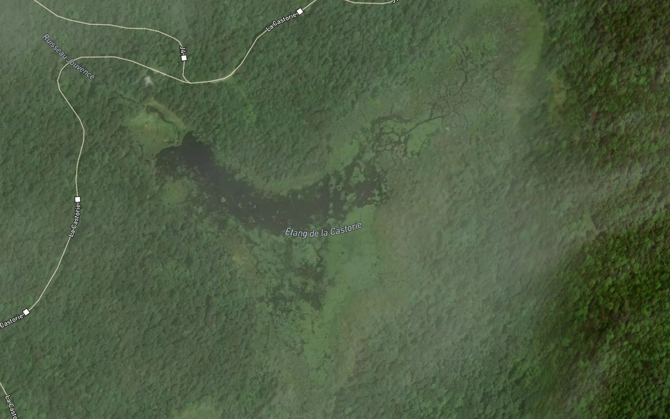 Etang de la Castorie