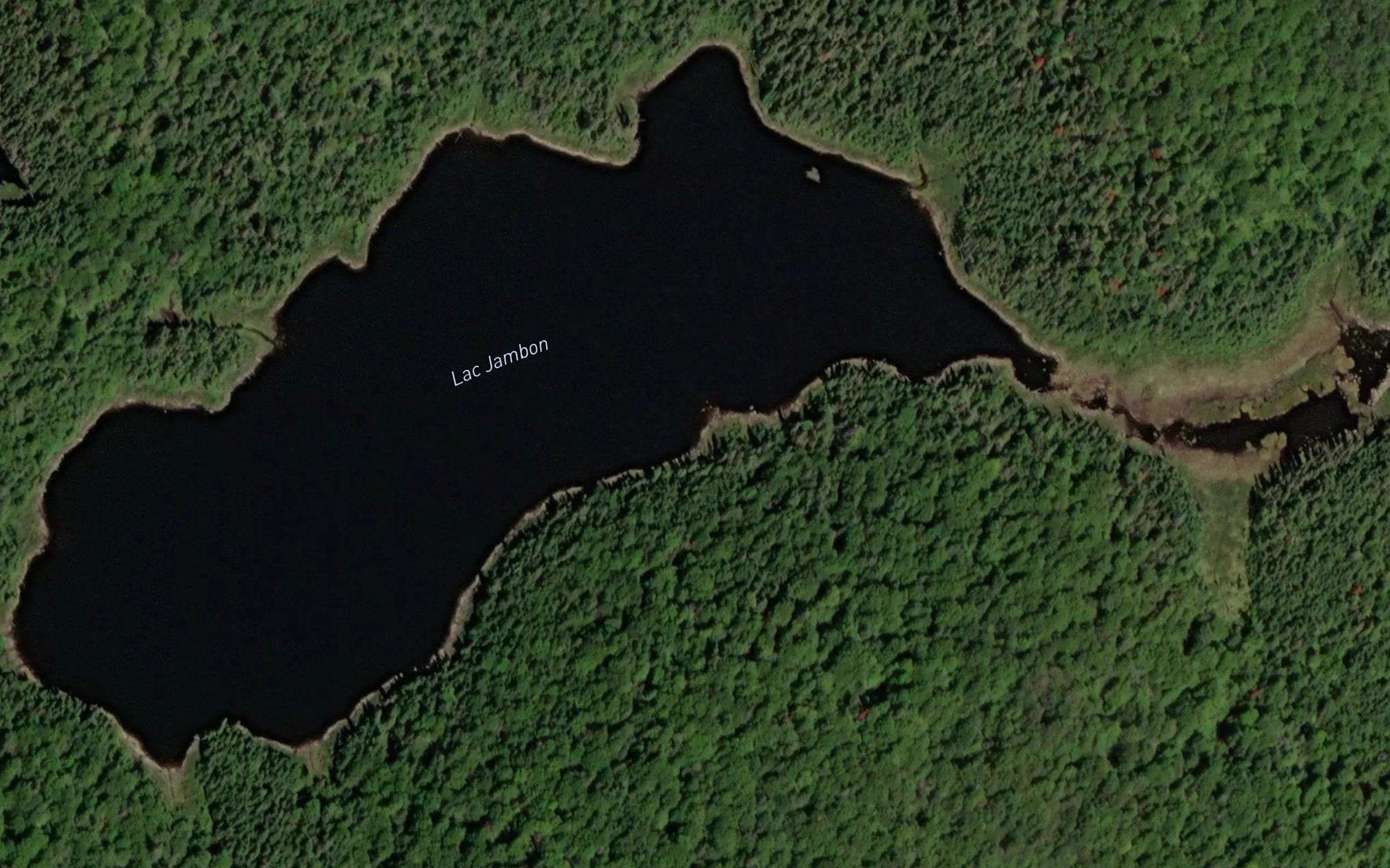 Lac Jambon