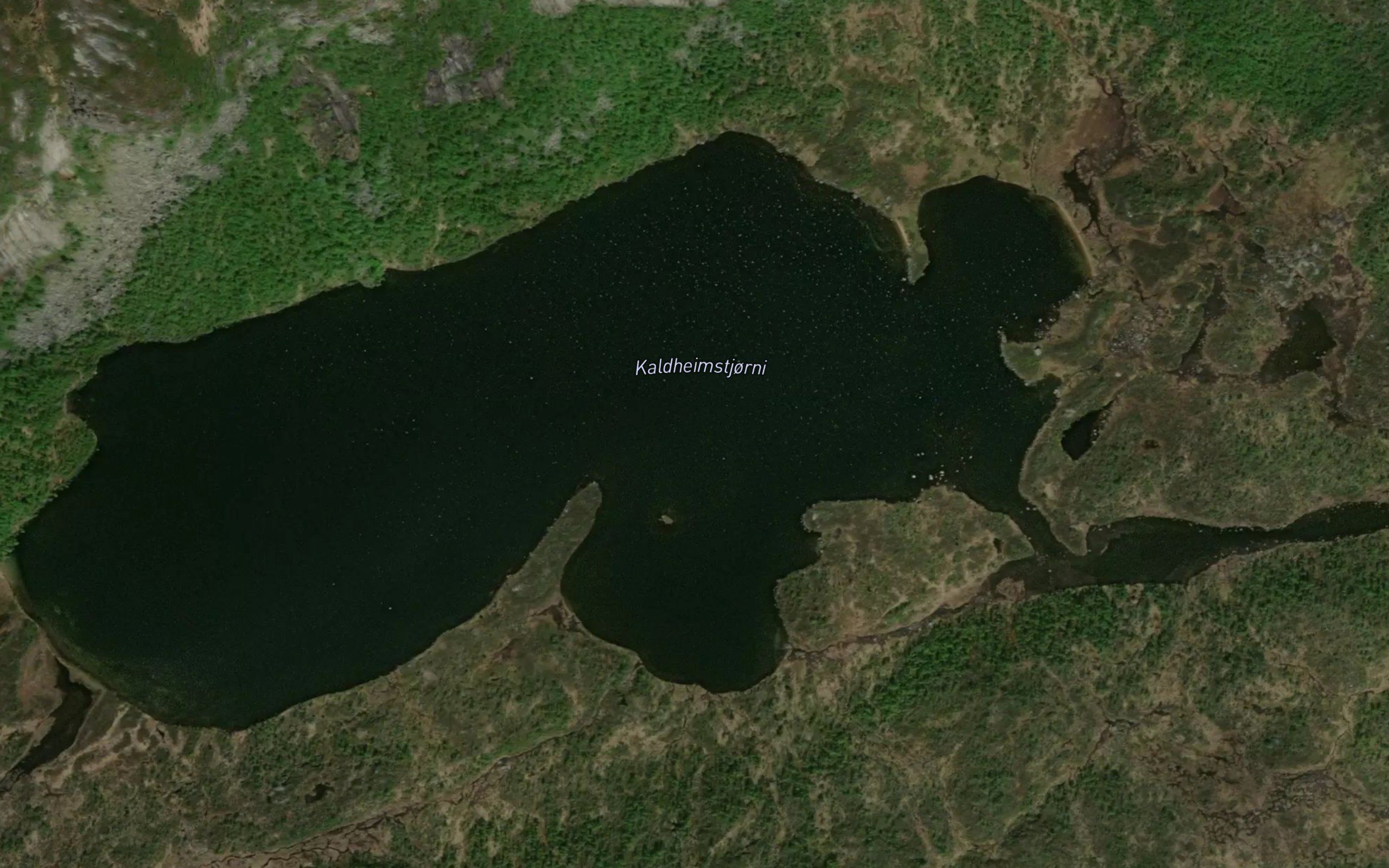 Kaldheimstjonni