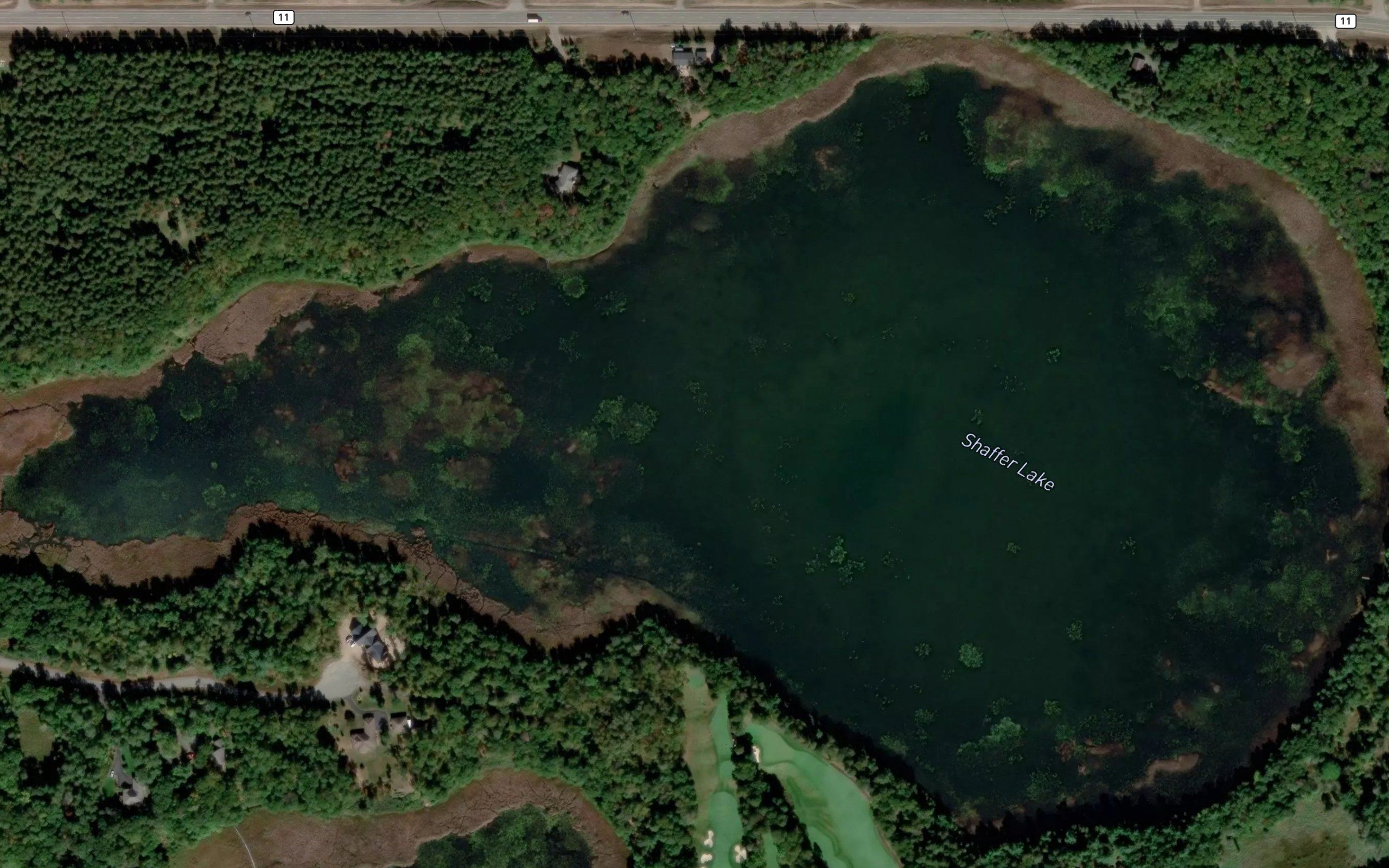 Shaffer Lake